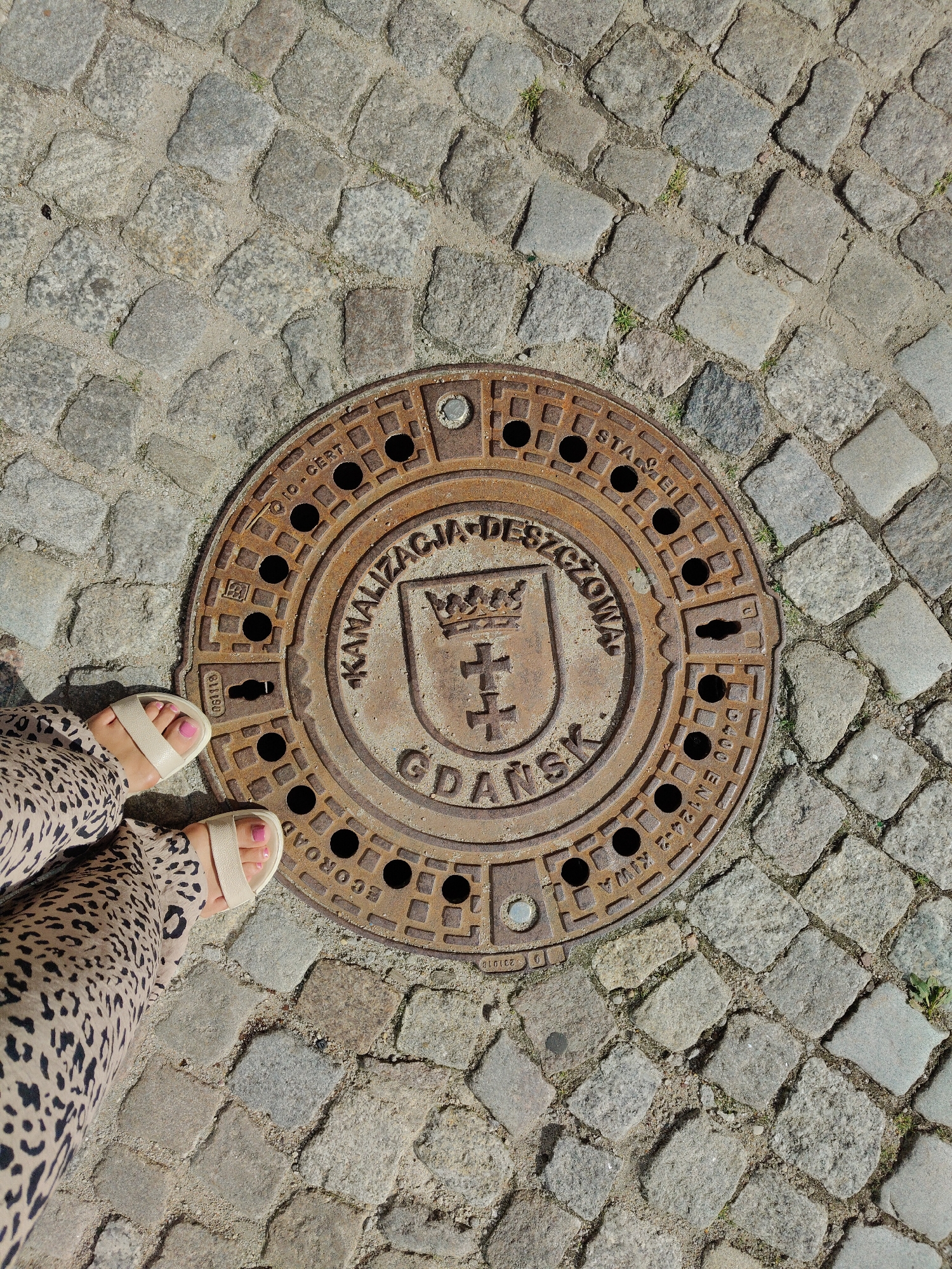 A top-down, medium shot captures a rusty manhole cover with the inscription "KANALIZACJA DESZCZOWA GDANSK" on a cobblestone street. The manhole cover features a coat of arms with a crown and a cross. Two feet in light-colored sandals and leopard-print pants are visible in the lower left corner of the frame, standing near the manhole. The cobblestones are weathered and uneven, with some small weeds growing in the gaps. The scene is illuminated by natural sunlight, casting subtle shadows.