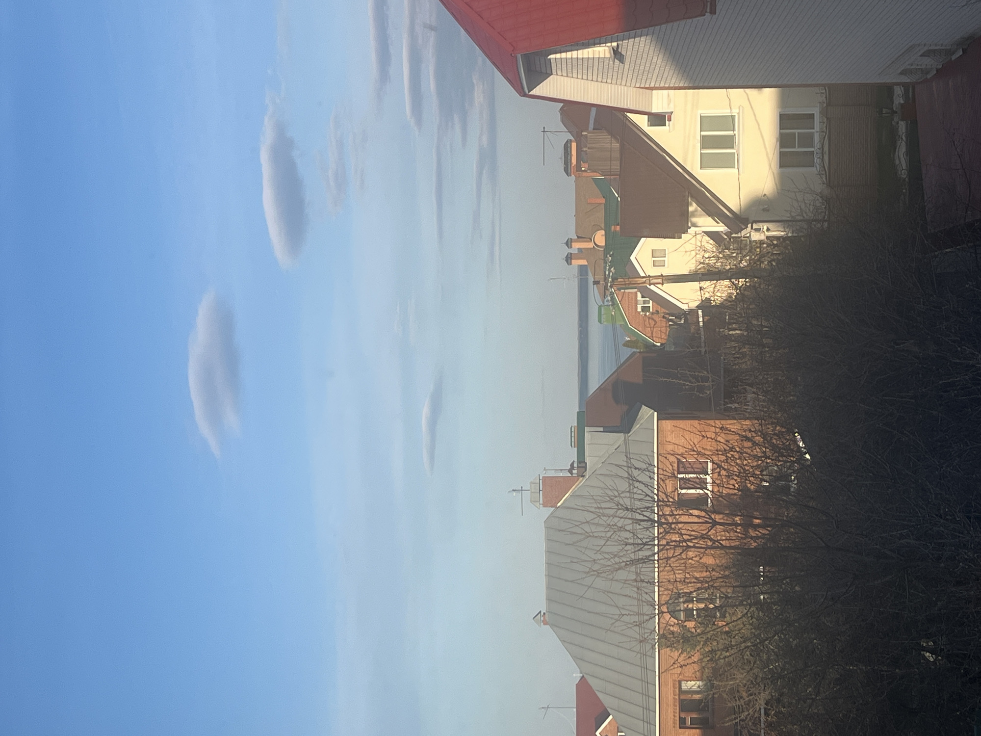 This image, captured with a 90-degree rotation (corrected for description), presents a serene urban landscape overlooking a significant body of water, likely in Ulyanovsk, Russia. The dominant feature is a vast expanse of clear, bright blue sky, occupying the upper half of the frame, adorned with several scattered, elongated white clouds.
In the midground, a cluster of residential or commercial buildings with varied architectural styles and roof colors creates a textured skyline. Prominent roofs include vibrant red, dark grey, and muted green. Many buildings exhibit light-colored facades with visible windows, some reflecting the ambient light. Several chimneys are discernible on the rooftops. The lighting suggests either early morning or late afternoon, with a low sun casting long shadows and illuminating certain building surfaces with a warm, golden glow, contrasting with areas in deeper shadow.
The foreground and parts of the midground are populated by bare-branched trees and bushes, their intricate, leafless structures indicating a colder season—late autumn, winter, or early spring. Beyond the buildings, a wide body of water, consistent with the Volga River given the location context, stretches towards the horizon, creating a soft line against the distant sky.
The scene is devoid of people or specific activities, conveying a sense of quietude and stillness. The overall atmosphere is peaceful and contemplative, highlighting the interplay of natural light and urban architecture. No visible text is present in the image.