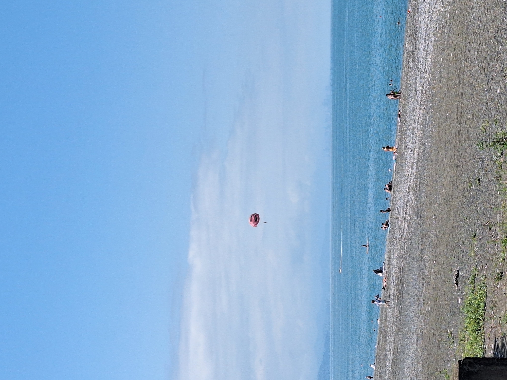 The image captures a serene beach scene in Kobuleti, Georgia, on a clear, sunny day with a bright blue sky and a few wispy clouds. The vast expanse of the Black Sea dominates the upper half of the frame, its surface a deep, calm blue, with a faint, distant shoreline visible. A single parasailer, suspended from a pink parachute, is a small, vibrant detail in the sky.
The foreground is a wide, pebble-strewn beach. Several people are scattered across the sand, some sunbathing, others walking or standing near the water's edge. A few individuals are visible in the shallow sea. In the distance, a small boat leaves a white wake on the water, and further out, the faint silhouette of a city or town can be seen on the horizon. The overall atmosphere is one of leisurely summer recreation by the sea.