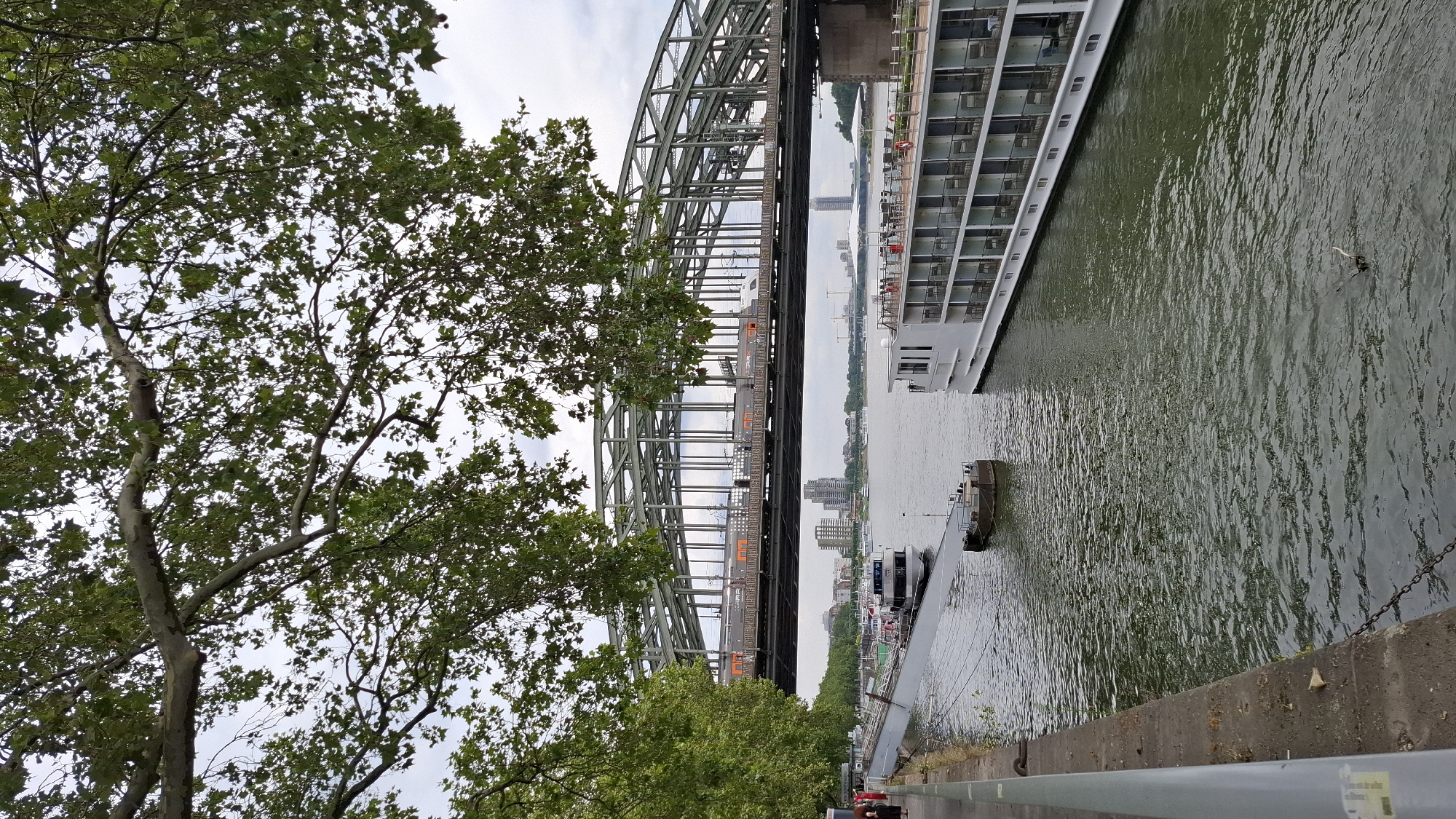 The image depicts a scene along a riverbank, with a large, multi-story white cruise ship docked on the right. The river, appearing murky green, is calm with ripples on its surface. A concrete embankment runs along the right side of the frame, with a railing in the foreground. To the left, a large metal bridge with intricate latticework spans the river, with what appears to be a train or tram on its upper deck. Trees with green foliage are prominent in the left foreground, partially obscuring the view of the bridge. In the background, a cityscape with buildings is visible across the river, under an overcast sky. A smaller dark boat is moored near the embankment. The lighting suggests it is daytime, possibly late afternoon or early evening, with diffused light due to the cloudy conditions. There is no discernible text in the image.