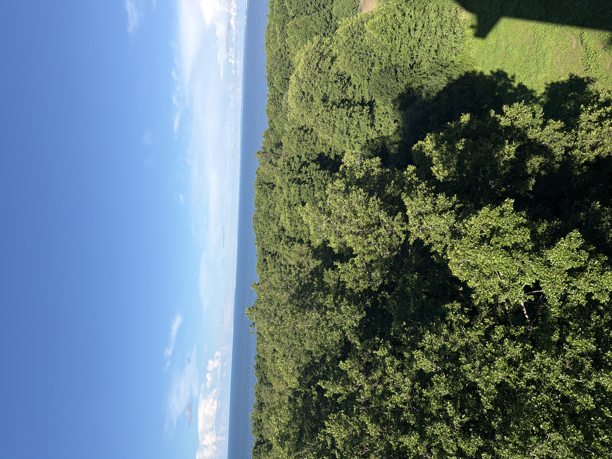 The image depicts a panoramic view of a lush green forest bordering a vast expanse of blue water under a clear blue sky with scattered white clouds. The foreground is dominated by the dense canopy of trees, with sunlight filtering through and casting shadows on the foliage. In the middle ground, the forest extends to the edge of the water, which appears to be a sea or a large lake. The horizon line is defined by the meeting of the water and the sky. The background shows the distant shoreline with faint indications of structures. The scene suggests a natural landscape in a coastal region, likely Muraste, Estonia, given the characteristic Baltic Sea coastline and extensive forests found in the area. The lighting indicates it is daytime, likely late morning or afternoon, given the presence of distinct shadows. No people or specific activities are visible in the frame.