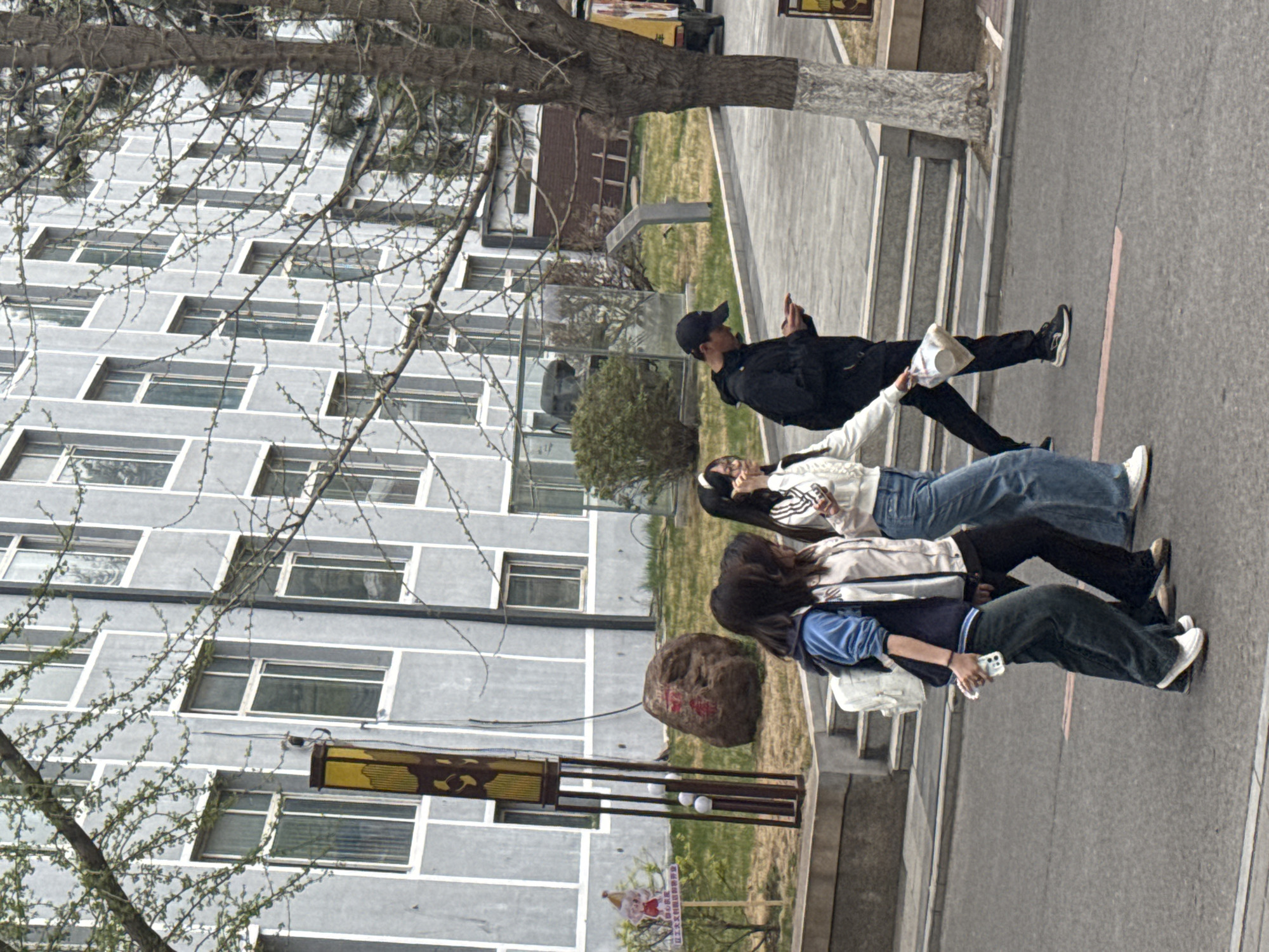 A photo captures a group of four people walking on a grey paved road next to a building with multiple windows, presumably in the city of Zhongtun, China. The building is light grey with white trim around the windows. A bare tree is visible, with its branches extending towards the building. The first person is a man wearing a black jacket and a black baseball cap, looking at his phone. He holds a white cup in his other hand. The second person is a woman wearing a white and black jacket with blue jeans and white sneakers. The third person is a woman wearing a light-colored jacket and black pants with white sneakers. The fourth person is a woman wearing a blue jacket and black pants with white sneakers, holding a phone in her hand. A light fixture and a rock with Chinese characters on it are near the walking group, and a small patch of grass is behind the rock. The road shows a painted red line, possibly indicating a walkway.