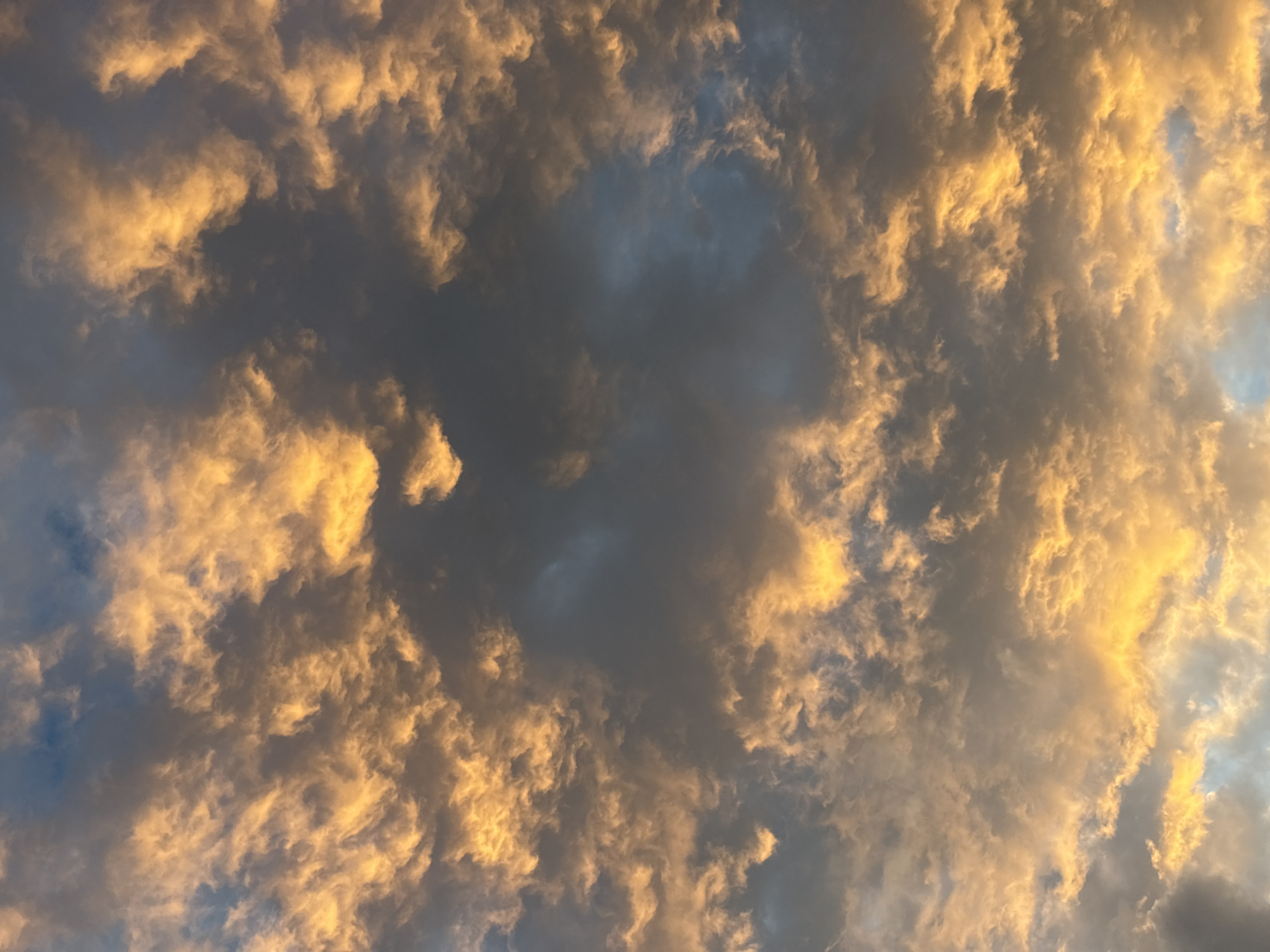 The image displays a dense cloudscape, likely during sunrise or sunset, as evidenced by the specific lighting conditions. The frame is entirely filled with clouds, exhibiting a stark contrast between illuminated and shadowed areas. Large, textured cloud formations, possibly cumulus or stratocumulus, are bathed in warm, intense golden-orange and yellow light, particularly on their undersides and edges. These brightly lit sections are interspersed with darker, deep grey and bluish-grey cloud masses that appear to be in shadow or further from the direct light source. Small fragments of lighter blue sky are visible in some gaps between the clouds. No terrestrial features, man-made structures, or individuals are present within the frame. The image provides no discernible landmarks or contextual clues that would allow for specific identification of the city of Sofia, Bulgaria.