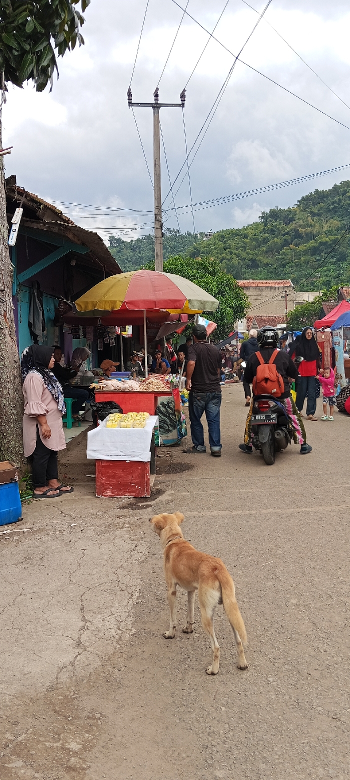 The image shows a street market in Kecamatan Kutawaringin, Indonesia, located at latitude -6.973 and longitude 107.52. There is a small, red and yellow striped canopy umbrella providing shade over a vendor's stand displaying food products. A woman wearing a pink hijab stands to the left, while a man with a backpack and a motorbike is parked to the right. A tan dog is facing the camera. The surrounding environment is a paved, dirt road with buildings and foliage in the background. The day is overcast, with a partly cloudy sky above. There are several other people walking in and around the scene.