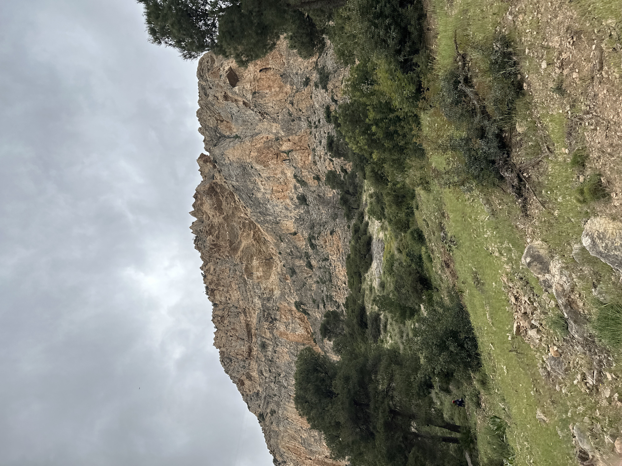A rugged natural landscape is depicted under an overcast sky. A large, prominent rock cliff dominates the right side of the frame, showcasing varied shades of beige, brown, and grey, indicating different geological layers and weathering. Patches of green vegetation, including small trees and bushes, are scattered across the cliff face and grow more densely along its base and in the foreground on the left. Tall pine trees are visible at the very top edge of the image. The left and upper portions of the scene are filled with a uniform, cloudy grey sky, suggesting an overcast day. In the lower left foreground, a small figure, likely a person, is visible, appearing to sit or crouch on a grassy, rocky slope. A tiny, dark bird is discernible flying in the expansive sky. The ground in the foreground is a mix of green grass, loose soil, and scattered rocks. The overall setting is a wild, outdoor environment, characteristic of a mountainous or hilly region such as Ardales, Spain. There is no visible text.