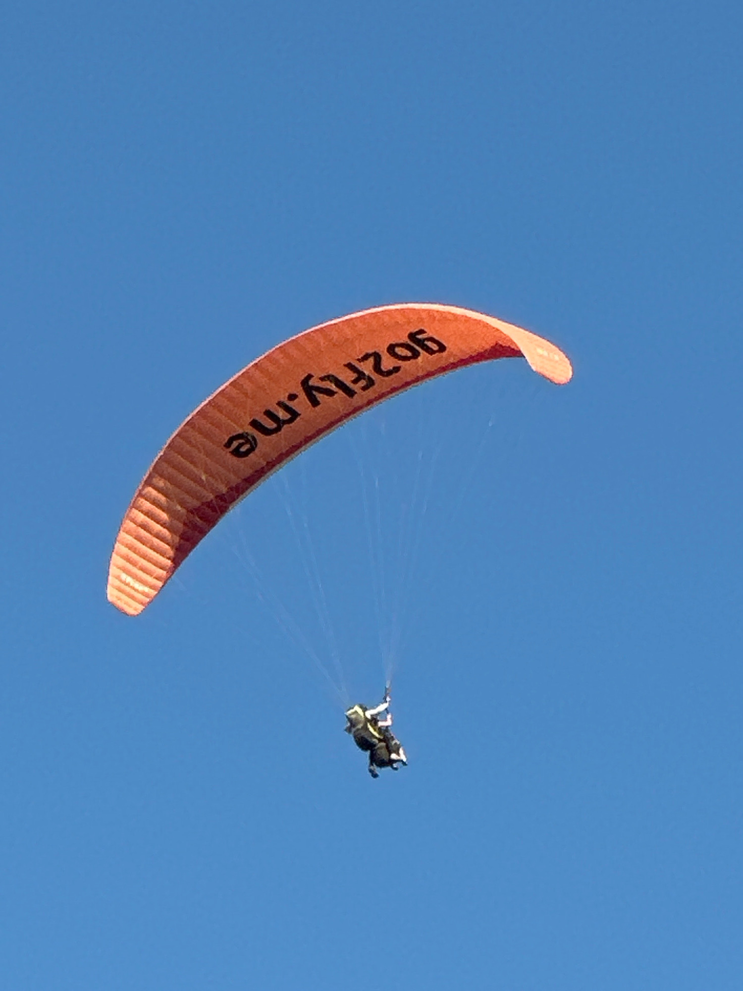 An orange paraglider with black text reading "206fly.me" is descending in a clear blue sky. Attached to the paraglider are two people in tandem, wearing dark clothing. The paraglider appears to be over the city of Boreti, Montenegro, based on the provided context.