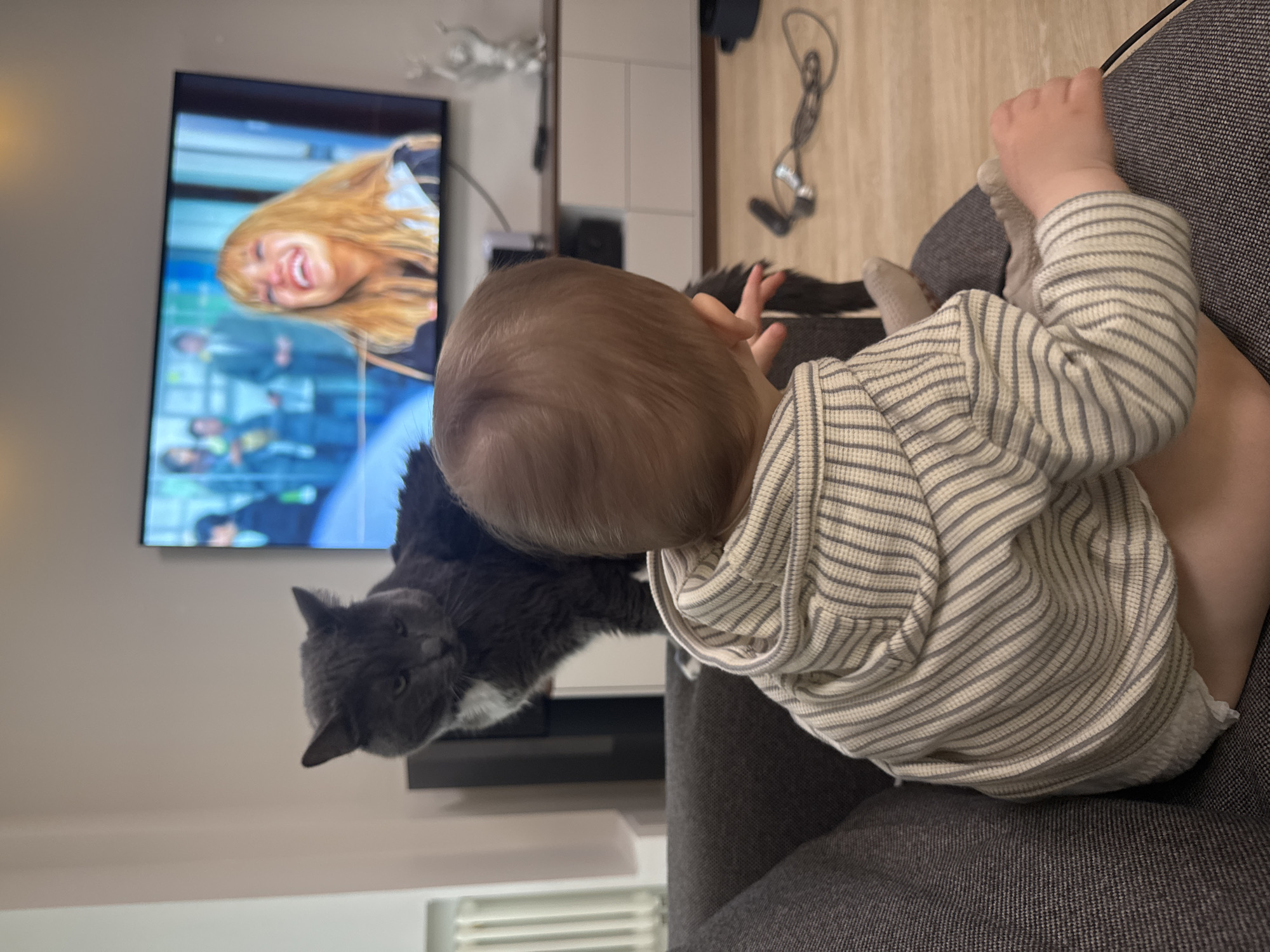 The image displays a cozy indoor scene, likely a living room, in Moscow, Russia. A young child, seen from the back, sits on a dark grey fabric sofa, facing a wall-mounted flat-screen television. The child has light brown hair and is wearing a light-colored long-sleeved top with thin horizontal stripes. Their right hand is visible, resting on the sofa or grasping something.
Beside the child on the sofa, a dark grey cat, possibly a Russian Blue, looks directly at the camera with a neutral, slightly curious expression. The cat has some white fur on its chest and paws.
The television screen features a bright image of a blonde woman with an open mouth, laughing joyfully. Other blurred figures can be seen in the background of the TV program, suggesting an entertainment or news show.
The room's decor is modern and minimalist, with a light-colored wall where the TV is mounted. In the background, white shelving or cabinetry is visible. The floor is light wood, and several black cables are loosely scattered near the sofa. The overall ambiance is calm and domestic, capturing a moment of a child and pet coexisting peacefully. No visible text is clearly discernible in the image.
