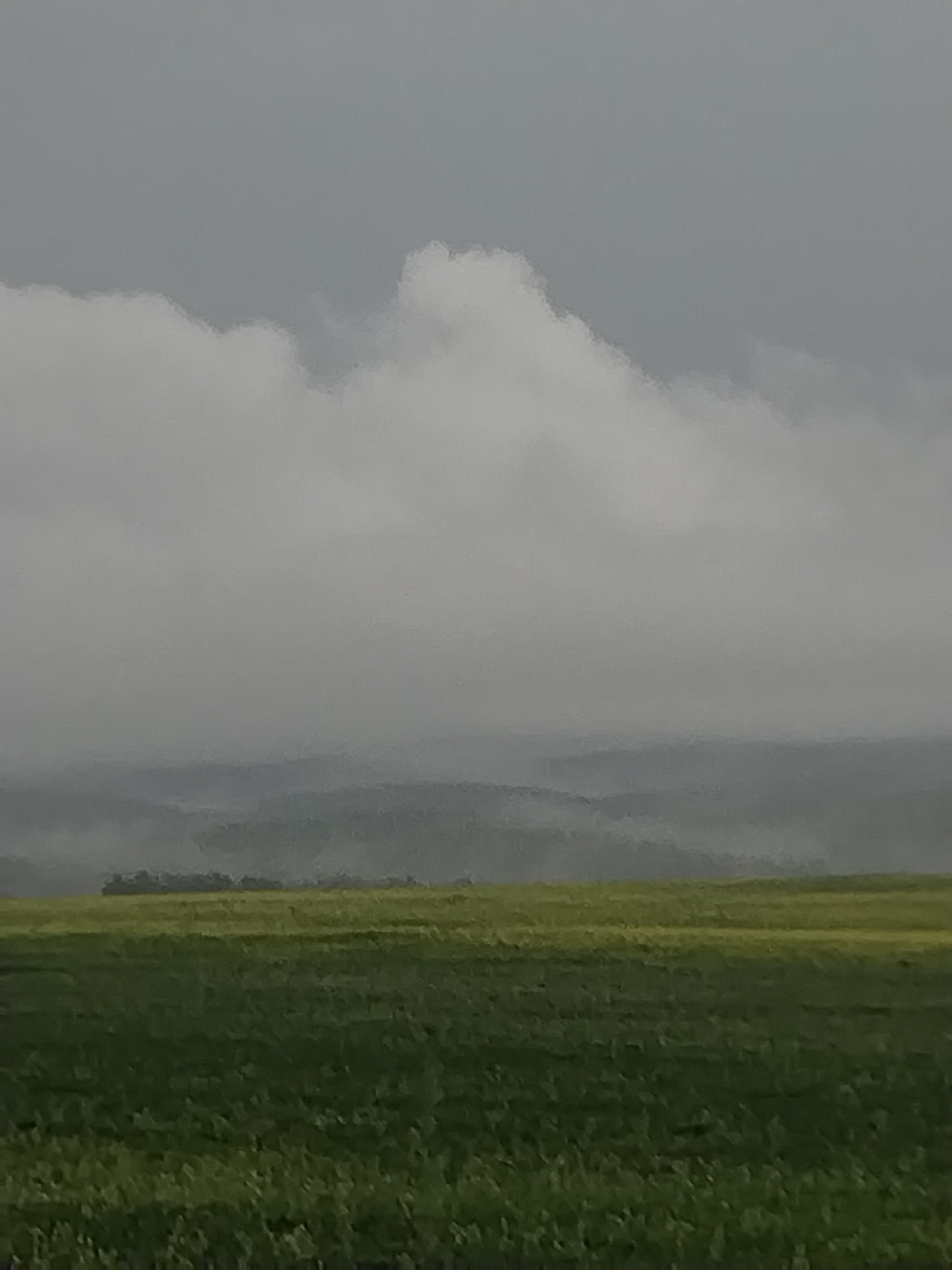This is a landscape photograph taken in Lakly, Russia, depicting a rolling, misty countryside under an overcast sky. The foreground is dominated by a vibrant green field, possibly of crops, with a lighter green or yellow field stretching into the mid-ground. In the distance, layers of rolling hills are visible, softened by a thick mist that creates a sense of depth and atmosphere. Above the hills, large, billowy white clouds are present against a muted grey sky. The lighting is diffuse and soft, suggesting either early morning, late evening, or simply a heavily clouded day. The overall mood is serene and perhaps a little melancholic due to the mist and overcast conditions. There are no people or man-made objects prominently featured, emphasizing the natural beauty of the rural landscape. The image has a slightly painterly quality, possibly due to a filter or the image processing.