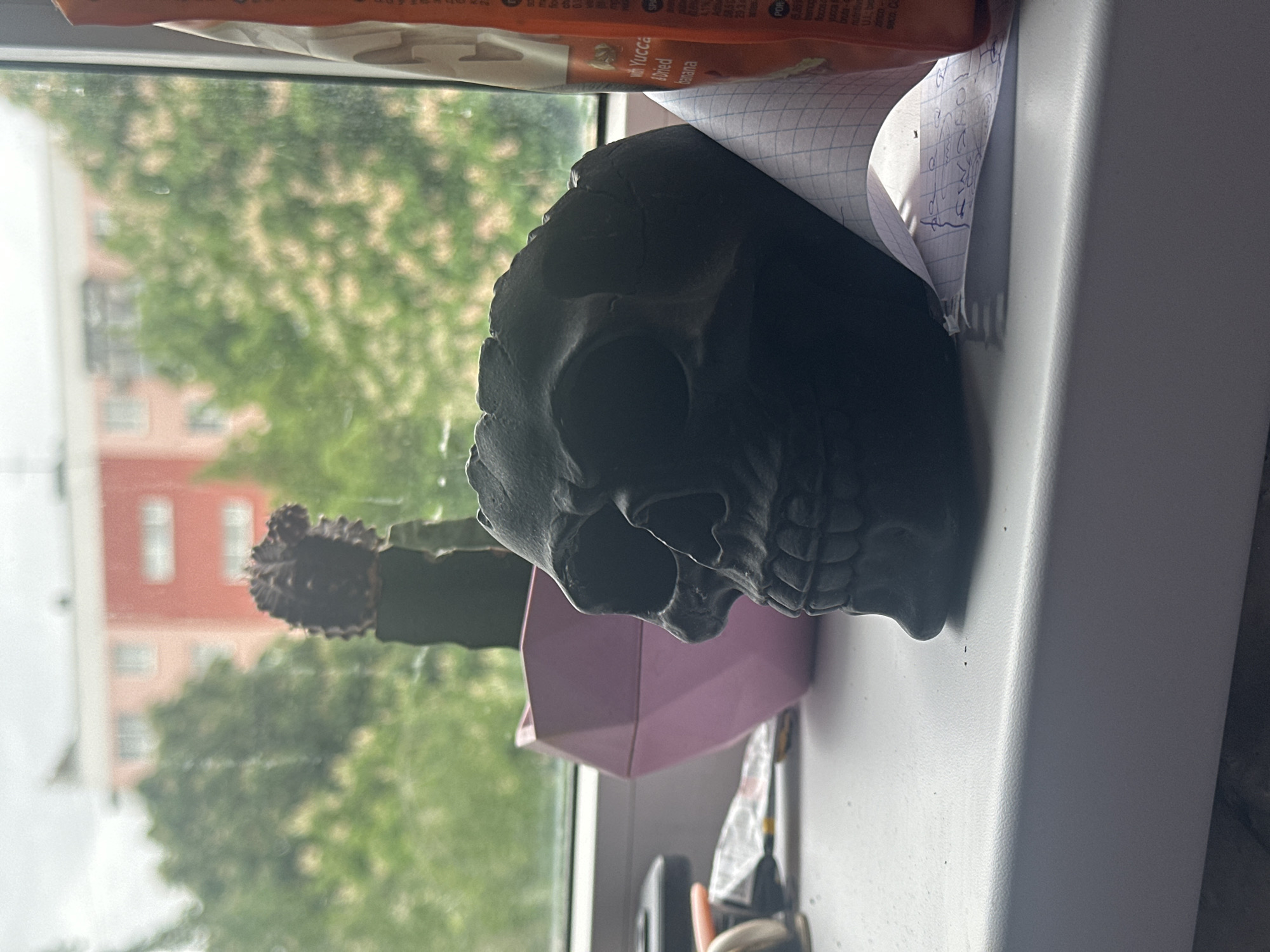 A still-life image taken indoors depicts a black skull-shaped object on a windowsill. The skull is positioned near a pink pot containing a cactus. Behind these objects, the view through the window reveals a tree and a red building, suggesting an urban setting. The top edge of a package, labeled "With Yucca Abried banana" is visible, adding to the composition. Scribbled notes on a piece of paper are tucked beside the skull. The photo's location is Stavropol, Russia.
