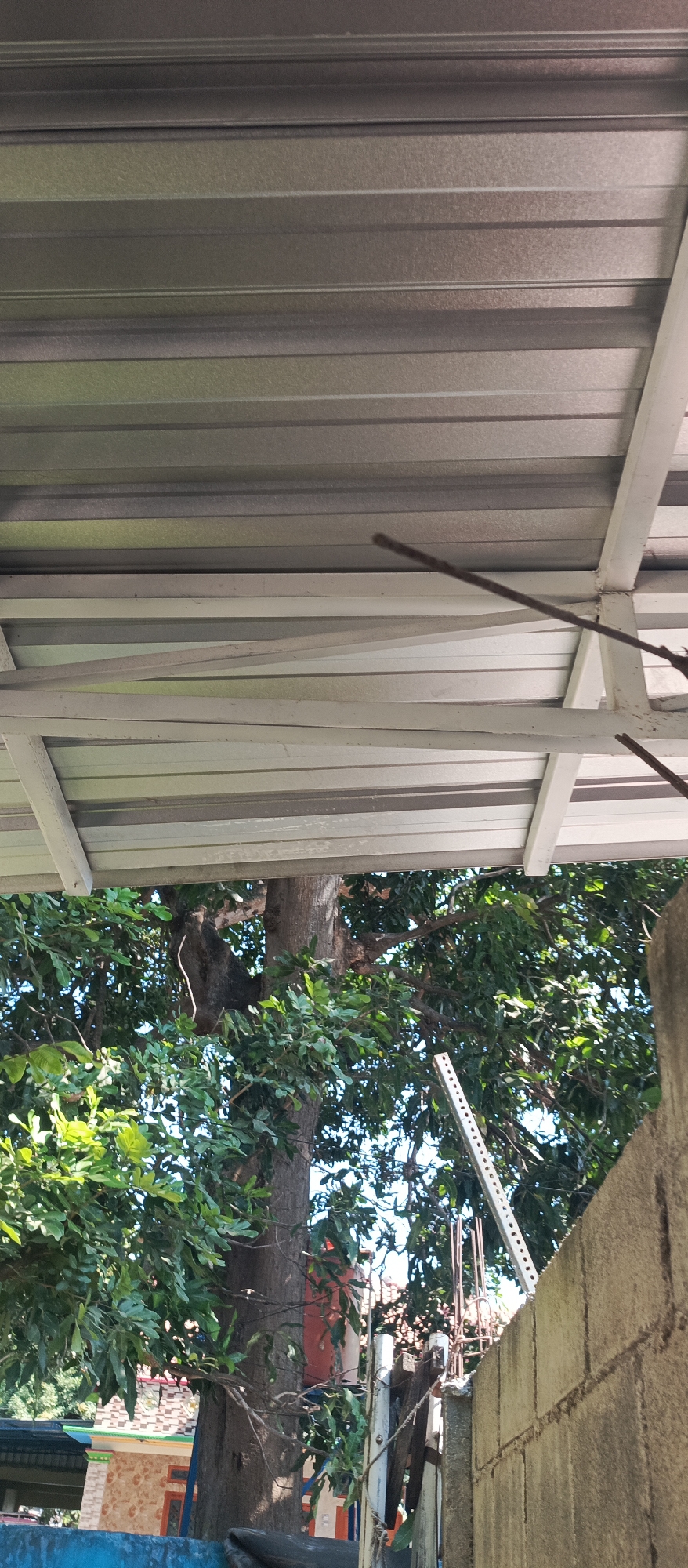 The image depicts an outdoor scene under a corrugated metal roof supported by white metal beams. Below the roof, a large tree with dense green foliage dominates the central part of the frame. The tree trunk is thick and textured. In the background, glimpses of buildings with patterned facades and brightly colored trim can be seen, along with some construction materials like concrete blocks and metal rebar. The overall impression is a residential or semi-industrial area, possibly in a tropical or subtropical climate, given the lush vegetation. The location is identified as Arjasa, Indonesia.