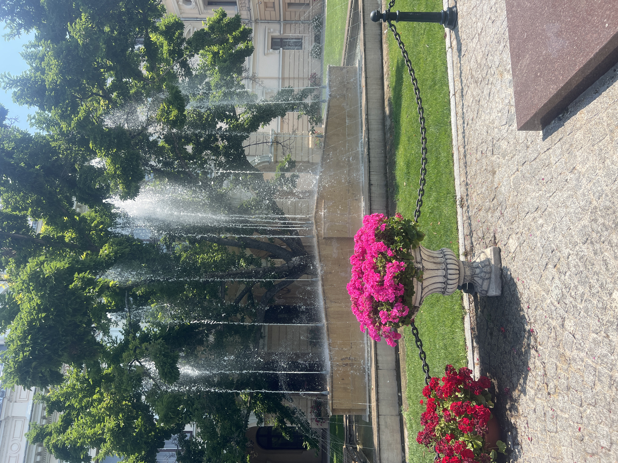 The image depicts a sunny outdoor scene in the city of Iași, Romania, featuring a fountain and floral arrangements in front of a building. In the foreground, there are two large potted plants filled with vibrant pink and red flowers. The pink flowers are in an ornate, white, carved urn, while the red flowers are in a simpler, brown pot. A dark metal chain links the two pots and a black metal post, separating the paved area from a green lawn.
Behind the flowers, a multi-tiered fountain is active, with numerous streams of water cascading down. The fountain has a light-colored stone basin and is surrounded by a lush green lawn and trees. The water streams are illuminated by the sunlight, creating a misty effect.
In the background, a grand, light-colored building with classical architectural elements, including arched windows and ornate detailing, is visible. The building appears to be a historical structure, possibly a government building or a museum, in the city center of Iași. The sky is clear and blue, indicating a pleasant day. The overall impression is one of a well-maintained public space in a European city.