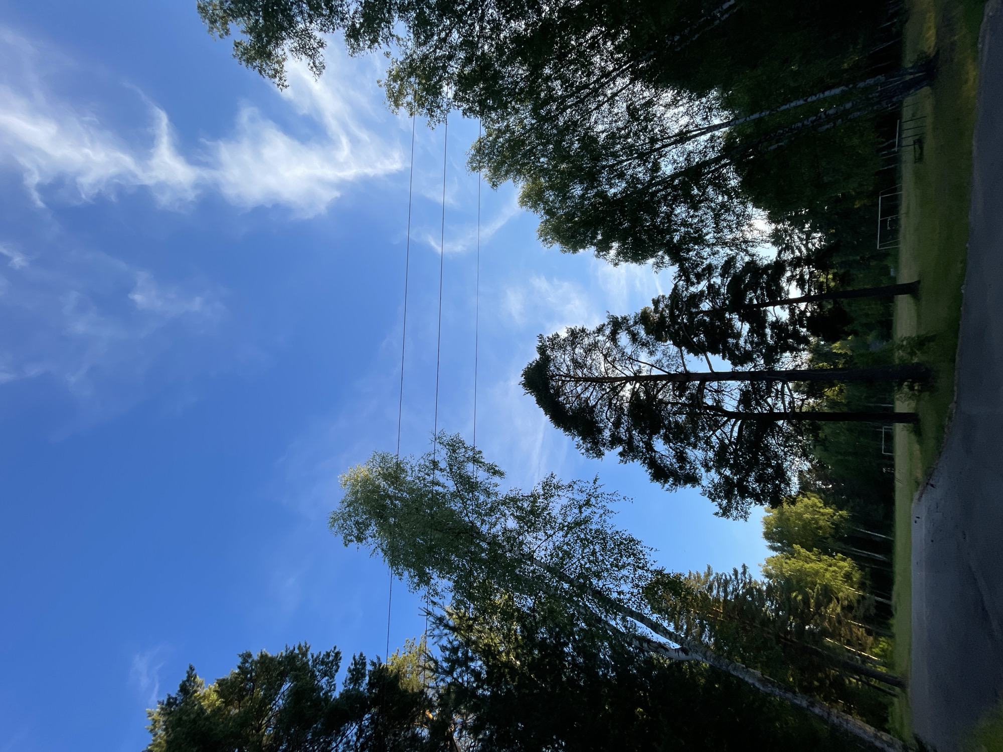 This is a vertical, low-angle shot looking up at a bright blue sky with scattered wispy clouds. Several tall trees with green foliage frame the sky, their branches reaching upwards. Power lines are visible, strung horizontally across the sky between the trees. On the right side of the frame, a paved road runs alongside a grassy area with more trees in the background. A sports goal frame is partially visible in the distance. The lighting suggests it is daytime, possibly late afternoon given the shadows. The scene appears to be a park or wooded area in Заречный, Russia. There is no visible text.
