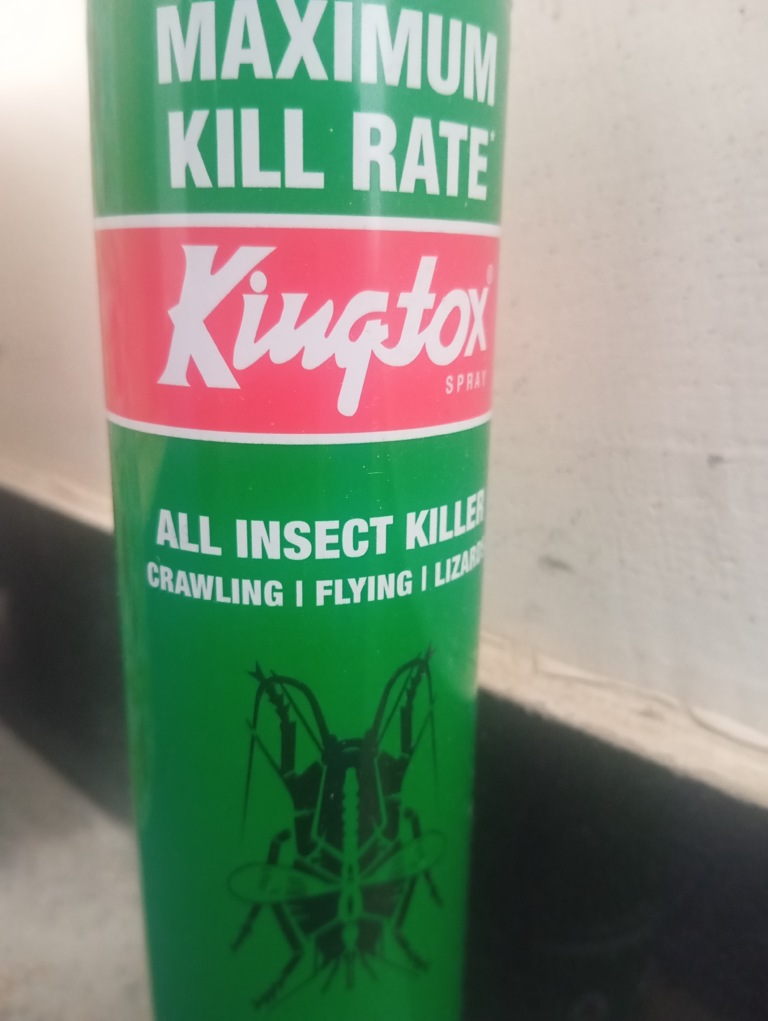 The image shows a close-up of a green aerosol can, likely insect repellent. The can has white text that reads "MAXIMUM KILL RATE" on the top portion, and "KINGTOX SPRAY" in a stylized font on a pink band below. Further down, in white text on the green can, it says "ALL INSECT KILLER", followed by "CRAWLING I FLYING I LIZARD". A silhouette of insects is printed on the bottom portion of the can. The can is positioned vertically, and the background appears to be a textured wall. There is no indication of the location being in Lassan, Pakistan. The image is a product shot of the insect spray can.