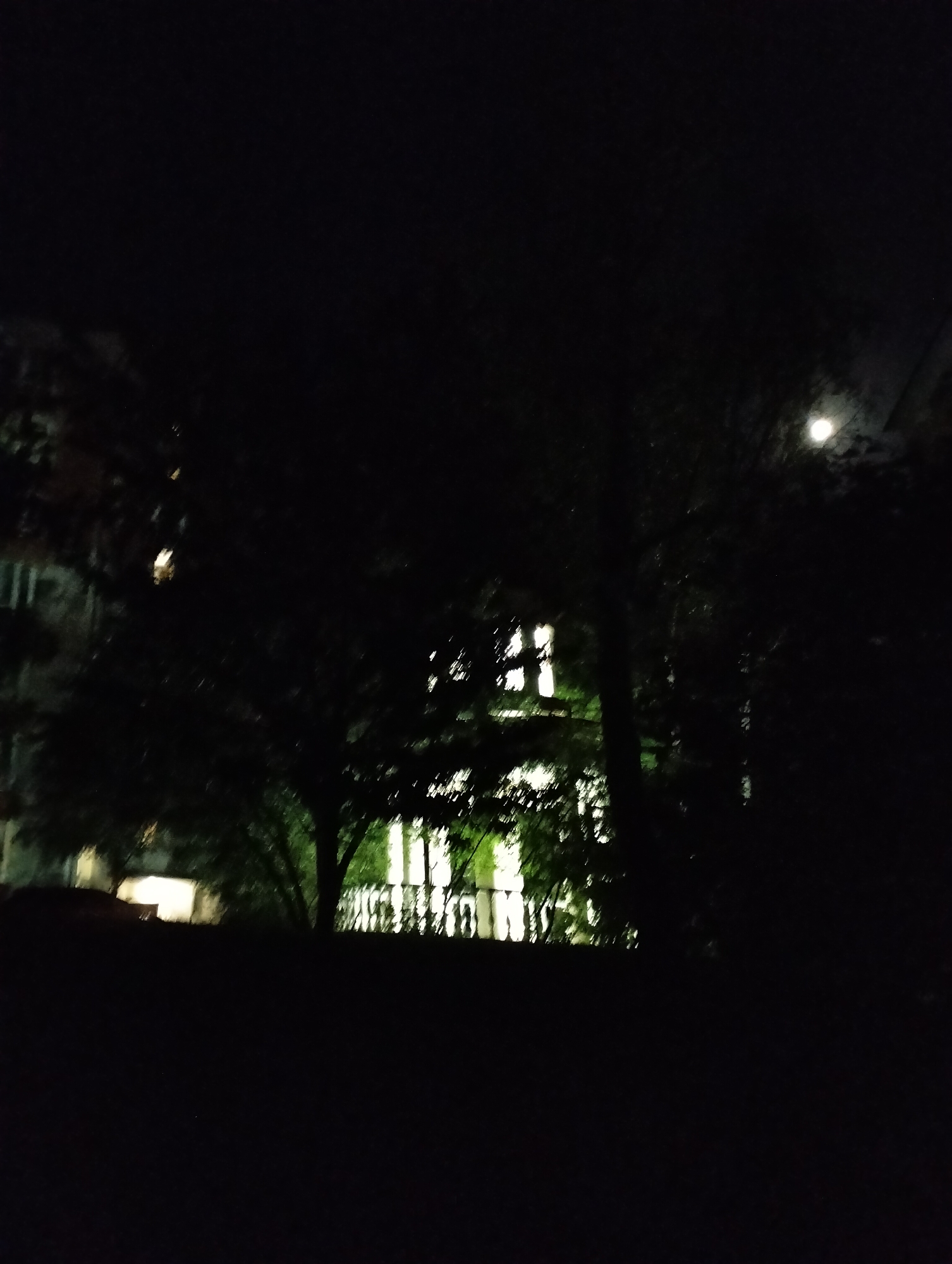 The image depicts a night scene in Krykhivtsi, Ukraine. A building with illuminated windows is visible through trees and foliage. A fence is in front of the building. The sky is dark with a visible moon in the upper right corner. Additional buildings can be seen on the left.