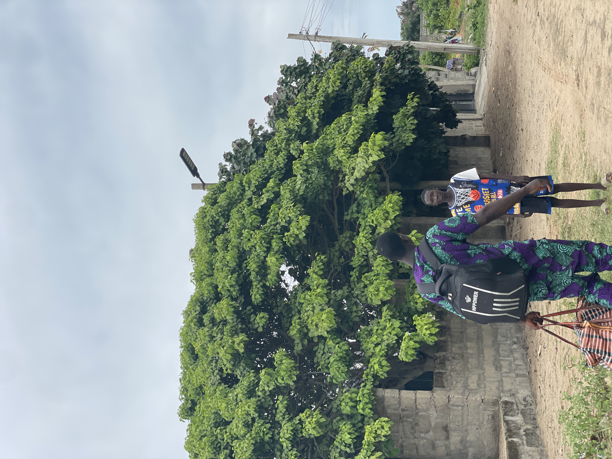 A street scene in Tawpo, Nigeria, features two young men standing beside a large tree and a low concrete building. The sky is overcast.
The first young man, closer to the camera, is wearing a patterned purple and green shirt and a black backpack with the word "HIPPOWER" on it. He is holding what appears to be a striped, multi-colored bag in his hand.
The second young man stands slightly behind the first and is wearing a basketball jersey with a graphic of a basketball on it, along with dark shorts.
The large tree is lush with green leaves. A street lamp is visible extending from the tree's center. A utility pole and wires are visible above the tree.
The ground is sandy and there is some vegetation. In the background, partially obscured by the tree and building, are other buildings and greenery.