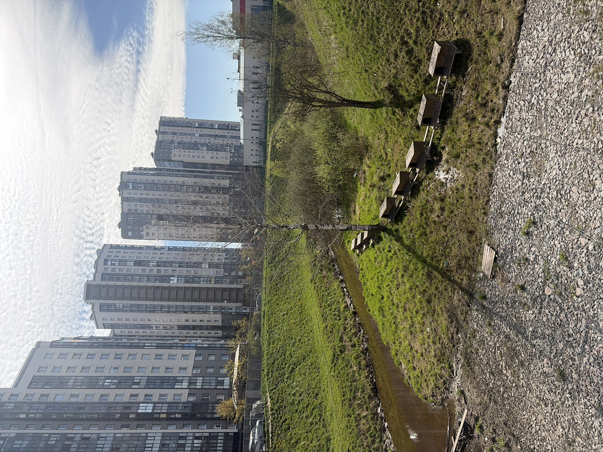 The image depicts an urban landscape, likely Saint Petersburg, Russia, featuring a series of modern apartment buildings to the left, rising several stories high. The buildings have a repetitive window pattern and a predominantly grey-white color scheme. To the right of the buildings is a grassy slope, divided by a narrow stream of water, possibly a canal. Along the top edge of the grassy area, next to a rock-covered surface, are several rectangular wooden structures that appear to be planters or raised garden beds. A bare tree stands near the stream, casting a long shadow. The sky above is light blue with streaks of cirrocumulus clouds. There are no people visible in the image.
