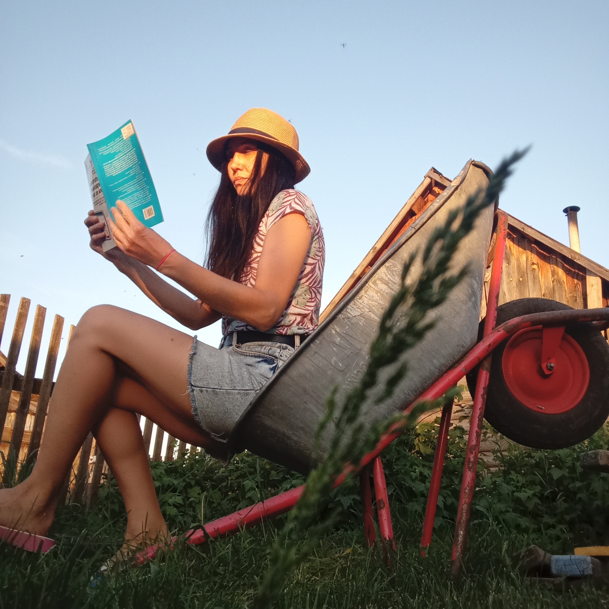 A young woman is sitting in a wheelbarrow and reading a book outdoors in the city of Буренка, Russia. She has long dark hair and is wearing a straw hat, a patterned short-sleeved shirt, denim shorts, and pink sandals. The wheelbarrow is silver-colored with a red frame and a red wheel. Behind her is a wooden fence and a small wooden building with a chimney. The ground is covered in green grass. The sky is visible in the upper portion of the image.