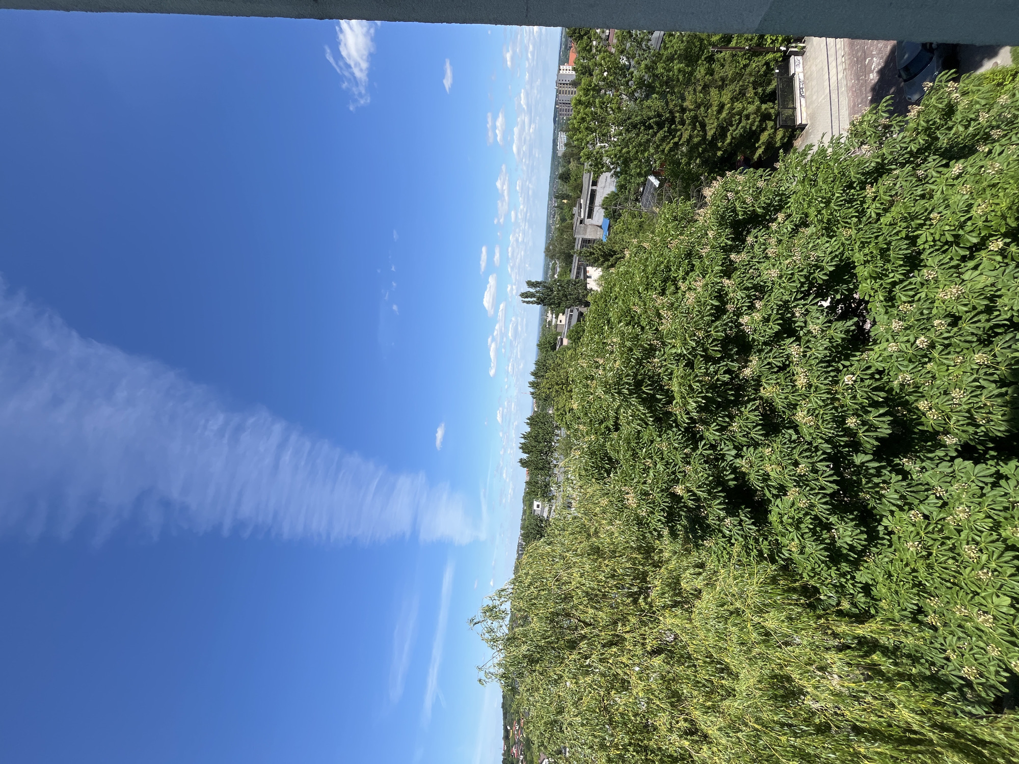 The image depicts a view of a city from an elevated position, likely a balcony or high-rise building. The sky is a clear, vibrant blue with scattered white clouds. A long, thin cloud formation stretches across a significant portion of the sky. Below the sky, a dense canopy of green trees dominates the foreground and midground. The foliage appears lush and full, partially obscuring the cityscape beyond. In the distance, buildings and other urban structures can be seen, indicating the city environment. The location is identified as Unknown, Unknown.