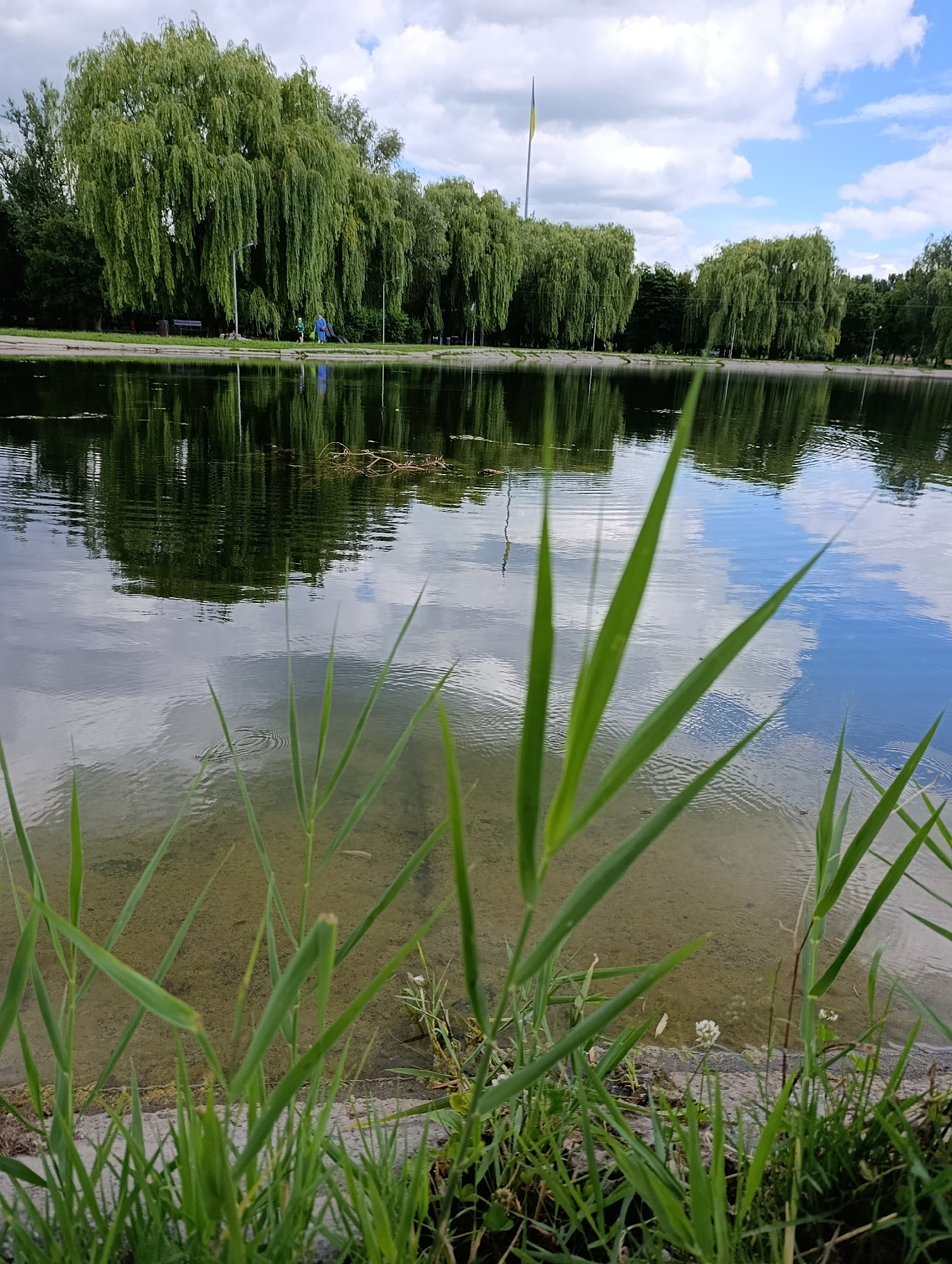 The image depicts a waterfront scene at a park in Brovary, Ukraine. In the foreground, tall green grass and reeds are in sharp focus, growing along the edge of a body of water. The water itself is clear, allowing a view of the sandy bottom and some submerged debris. The surface of the water reflects the surrounding environment, including the sky, clouds, and trees.
In the mid-ground, a line of large willow trees with their characteristic drooping branches forms a lush green canopy along the opposite bank of the water. Behind the trees, a flagpole with a yellow and blue flag, indicative of Ukraine, is visible. There are park benches and a lamppost visible near the treeline, suggesting a developed park area. A person, appearing to be a child in a green shirt and blue pants, is walking alongside another individual in a blue outfit, possibly engaged in an activity like fishing or walking.
The sky is partly cloudy, with patches of blue sky interspersed with white clouds. The overall atmosphere is serene and natural, suggesting a peaceful day in a public park. The image is taken from a low angle, emphasizing the foreground vegetation and the reflection in the water.