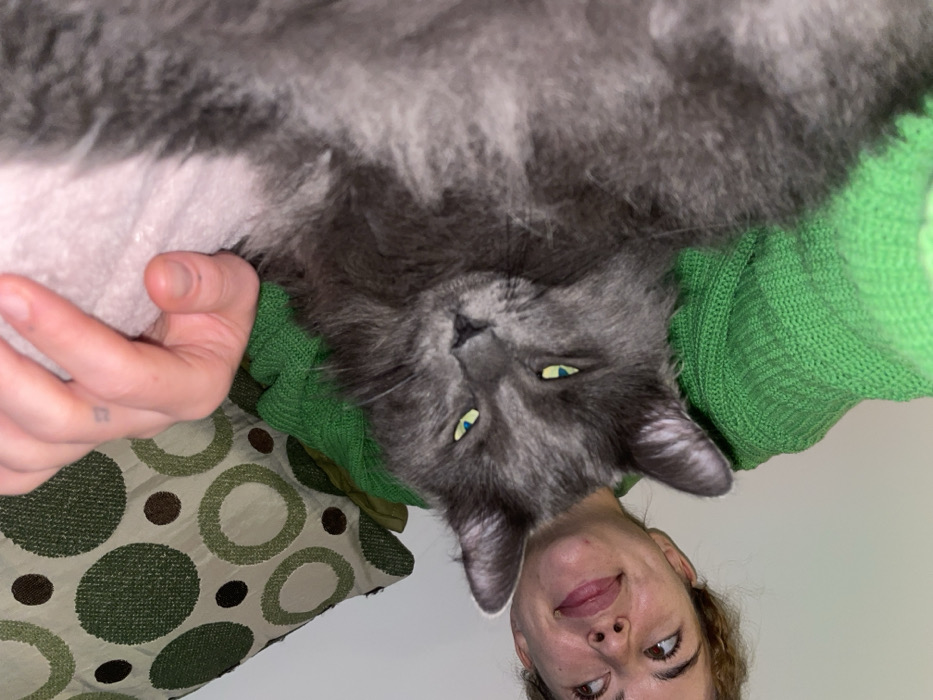 The image, rotated approximately 90 degrees counter-clockwise, depicts a human female interacting with a domestic cat in what is identified as Boreti, Montenegro. A female subject, partially visible from the forehead to the chin on the left side of the frame, exhibits light skin, brown eyes looking upward (relative to the image), and light brown hair. Her lips are slightly parted. She wears a textured, bright green knitted sleeve on her visible left arm. Her right hand, bearing a small dark tattoo on the ring finger, is positioned above the cat's back. Centrally located is a long-haired gray cat, its head tilted, with narrow, reflective yellow-green eyes fixed on the viewer. Its body extends rightward out of the frame, revealing lighter fur on its underside. The cat's left ear is distinctly visible. The human appears to be holding or embracing the cat. In the upper portion of the frame, behind the human's hand, a textile object with a pattern of concentric green and brown circles is partially visible. The remainder of the background is a plain, light-colored surface.