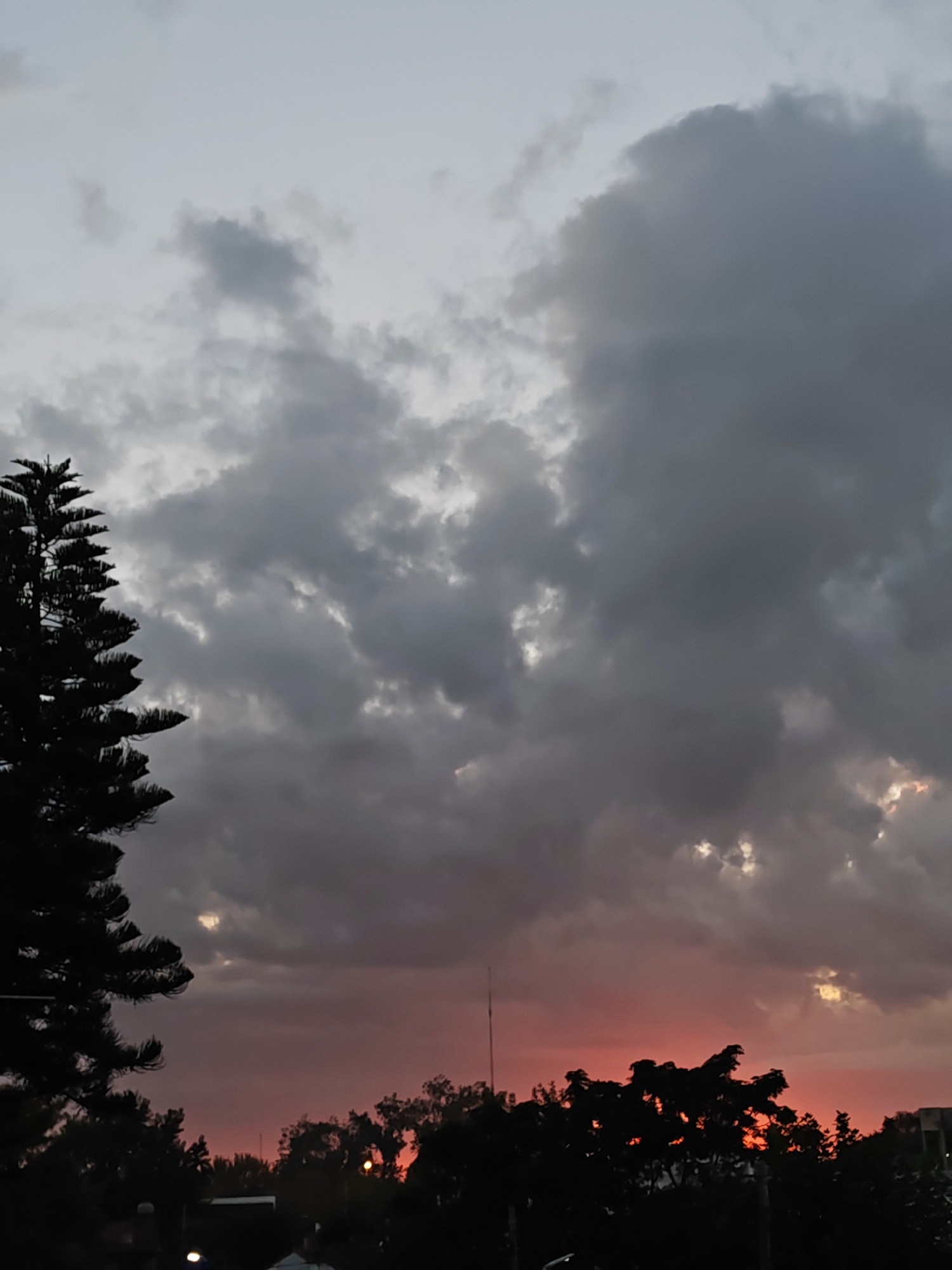 The image depicts a twilight scene, likely in La Plata, Argentina. The sky is dominated by heavy, dark clouds, transitioning to a reddish-orange hue near the horizon, indicating a sunset or sunrise. Silhouetted against the sky are trees and possibly buildings, suggesting an urban or suburban environment. The presence of a tall, slender object resembling an antenna adds to the urban context. The overall tone is somber and atmospheric.