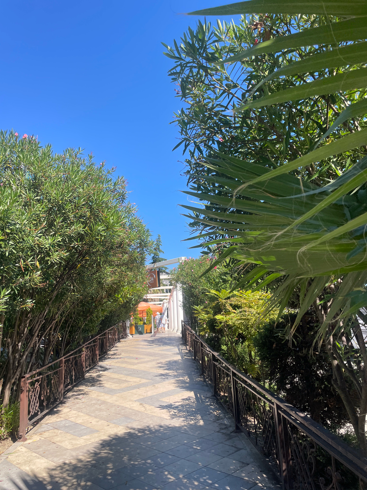 The image shows a paved walkway lined with decorative railings and lush green foliage. Palm fronds are visible in the foreground. The walkway is constructed with large square tiles arranged in a diagonal pattern of alternating light and dark colors, with some smaller square tiles also present. Sunlight casts dappled shadows on the path. In the background, there are trees, a white building with arches, and people walking. The sky is clear and blue.
The location is identified as Sochi, Russia, specifically the Olympic Park. The walkway appears to be part of the pedestrian areas within the park, likely leading towards one of the Olympic venues or attractions. The presence of palm trees suggests a milder climate, consistent with Sochi's location on the Black Sea coast. The architectural elements in the background, such as the white arched structures, are characteristic of modern public spaces and could be associated with the Olympic legacy infrastructure. The overall scene depicts a sunny day in an outdoor public space designed for recreation and tourism.