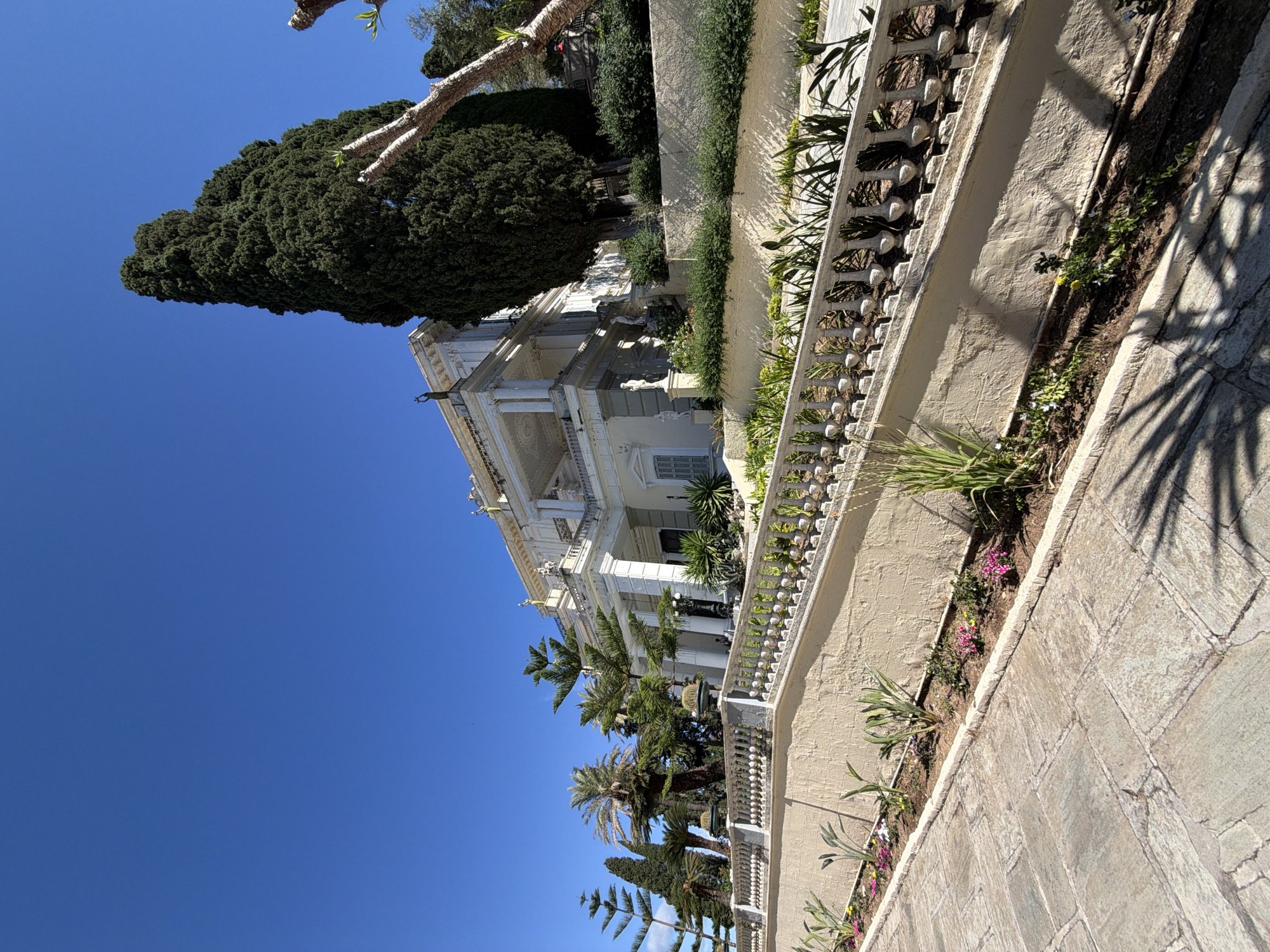 A grand, classical building, likely a palace or stately home, stands prominently on the left side of the frame under a brilliant, clear blue sky. The multi-story structure is built from light-colored stone, possibly white or cream, and features elegant architectural details including tall columns, ornate balustrades, and intricate carvings. Sculptures or statues are visible adorning the upper levels of the building, and windows with closed shutters are present on the lower floors.
Lush, green vegetation surrounds the edifice. A towering, dense evergreen tree, possibly a cypress, rises to the left of the building, contrasting sharply with the azure sky. Numerous palm trees and other varied foliage are scattered throughout the extensive gardens, providing a vibrant backdrop.
In the foreground and extending along the right, a paved walkway or terrace is visible. It is bordered by a decorative stone balustrade with regularly spaced posts, behind which a narrow flowerbed filled with small plants and colorful blossoms, including pink and yellow flowers, can be seen. Another planter box or low wall, also containing greenery, runs parallel to the balustrade. The paving stones are irregularly shaped and light-colored.
The scene is bathed in bright sunshine, indicated by the sharp, distinct shadows cast across the paved areas and walls, some resembling palm fronds. The absence of clouds in the sky suggests clear weather, and the strong sunlight points to a time around midday. No people are visible, depicting a tranquil, static landscape. The setting, with its classical architecture and Mediterranean flora, is consistent with the provided location context of Gastouri, Greece, particularly evoking the grandeur of the Achilleion Palace. There is no visible text.