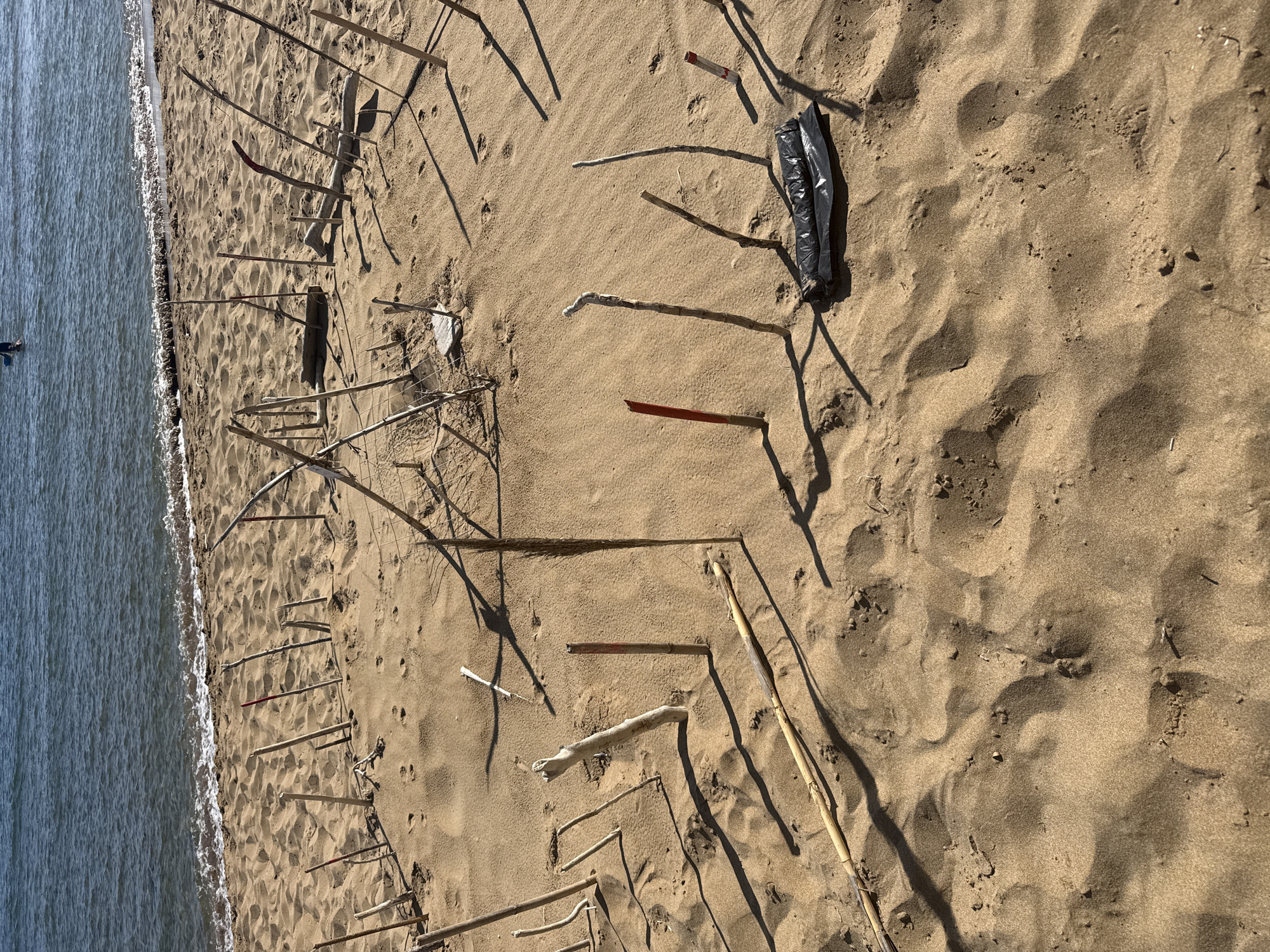 An aerial shot shows a sunlit beach with scattered driftwood and reeds arranged in a circular pattern on the sand. The ocean with gentle waves is visible in the background, with a faint figure standing in the water. The arrangement of sticks and reeds on the sand appears to be a form of beach art or a natural structure. The scene is located on the beach of Municipal Unit of Lefkimmi, Greece.