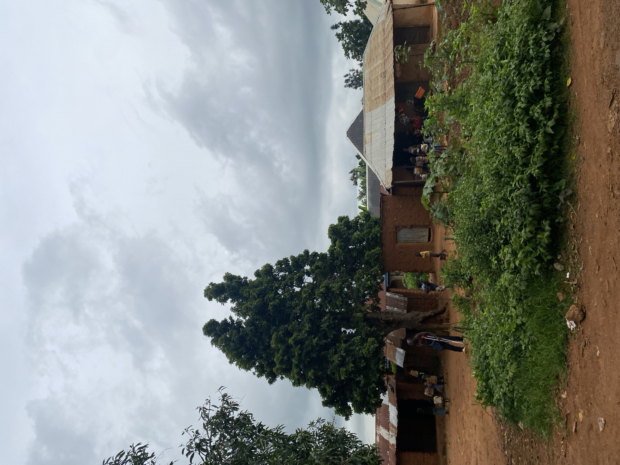 The image depicts a scene in a rural village, likely in Makera, Nigeria, under an overcast sky. In the foreground, lush green vegetation and a patch of grass are visible, with a dirt path or ground in front. A large, mature tree with dense foliage stands prominently in the mid-ground, to the left of center. Behind the tree are several mud-brick structures with corrugated metal roofs, appearing to be homes or community buildings.
Several people are present in the scene. In front of one of the buildings, a man is standing with crutches, dressed in a dark shirt and lighter shorts. To the left of the man, a group of children and adults are gathered near the entrance of a building with an open doorway. Further to the right, more individuals, including children, are visible near another building. One child in a yellow shirt stands near a doorway. The buildings themselves have rudimentary wooden doors and windows. The ground is reddish-brown earth, indicative of the local soil. The overall impression is of a humble, lived-in community setting.