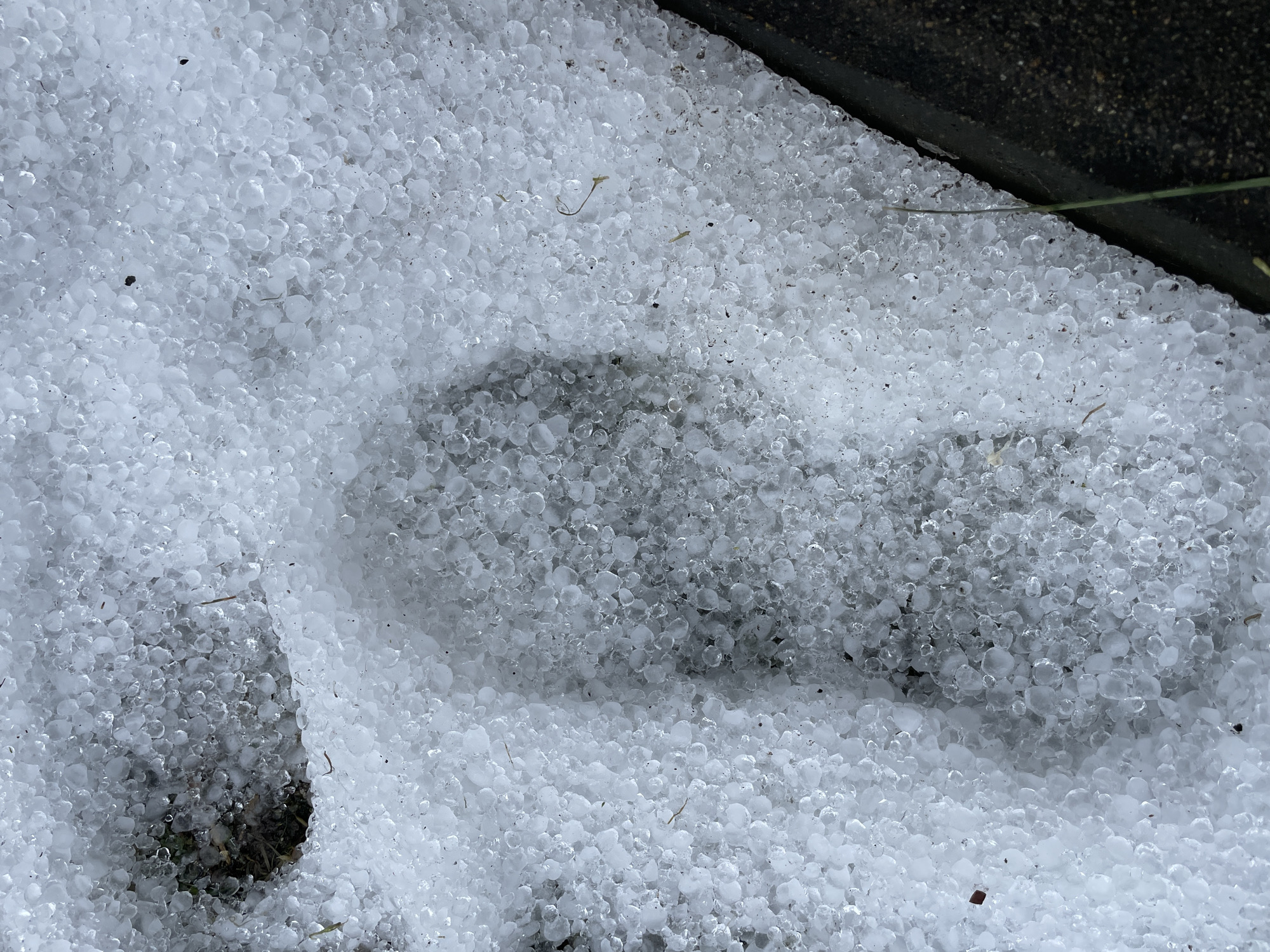 The image depicts a ground covered in hail, with a distinct footprint impression in the center. The hail consists of small, round ice pellets. The footprint appears to be from a shoe or boot, disrupting the uniform layer of hail. A dark, possibly concrete, edge is visible in the upper right corner. The background appears to be a mix of dirt and possibly some grass. The location, Olginka, Russia, is based on the prompt, but there is no specific indicator of location in the image.