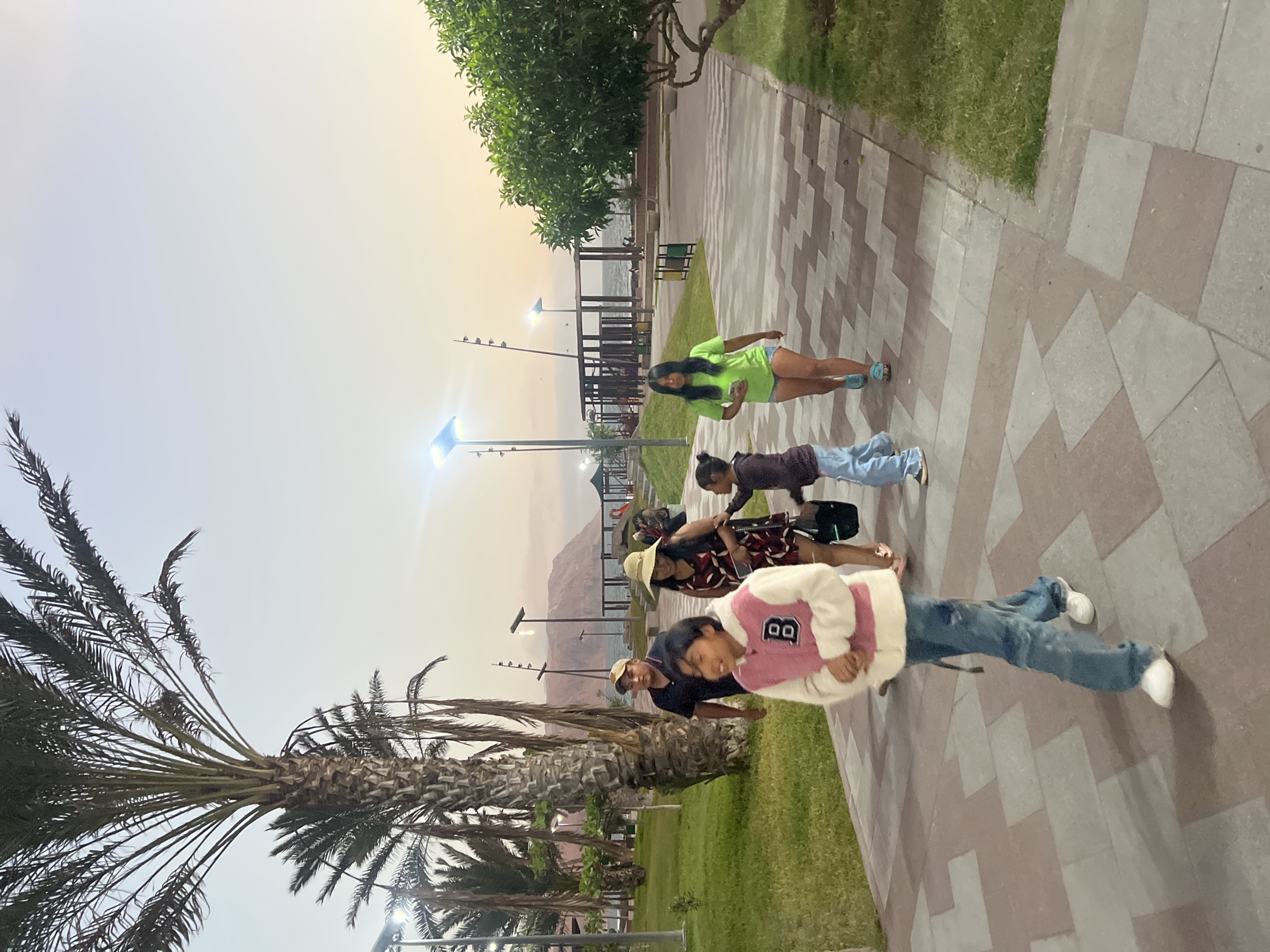 The image depicts a group of people posing for a photo in Arica, Chile. They are standing on a paved walkway with a geometric pattern, adjacent to a grassy area and palm trees. A palm tree is visible in the foreground on the left side of the image. In the background, there is the coastline, a beach, and the city's skyline. There are several street lamps. The sky is overcast, suggesting it might be early evening or dusk.