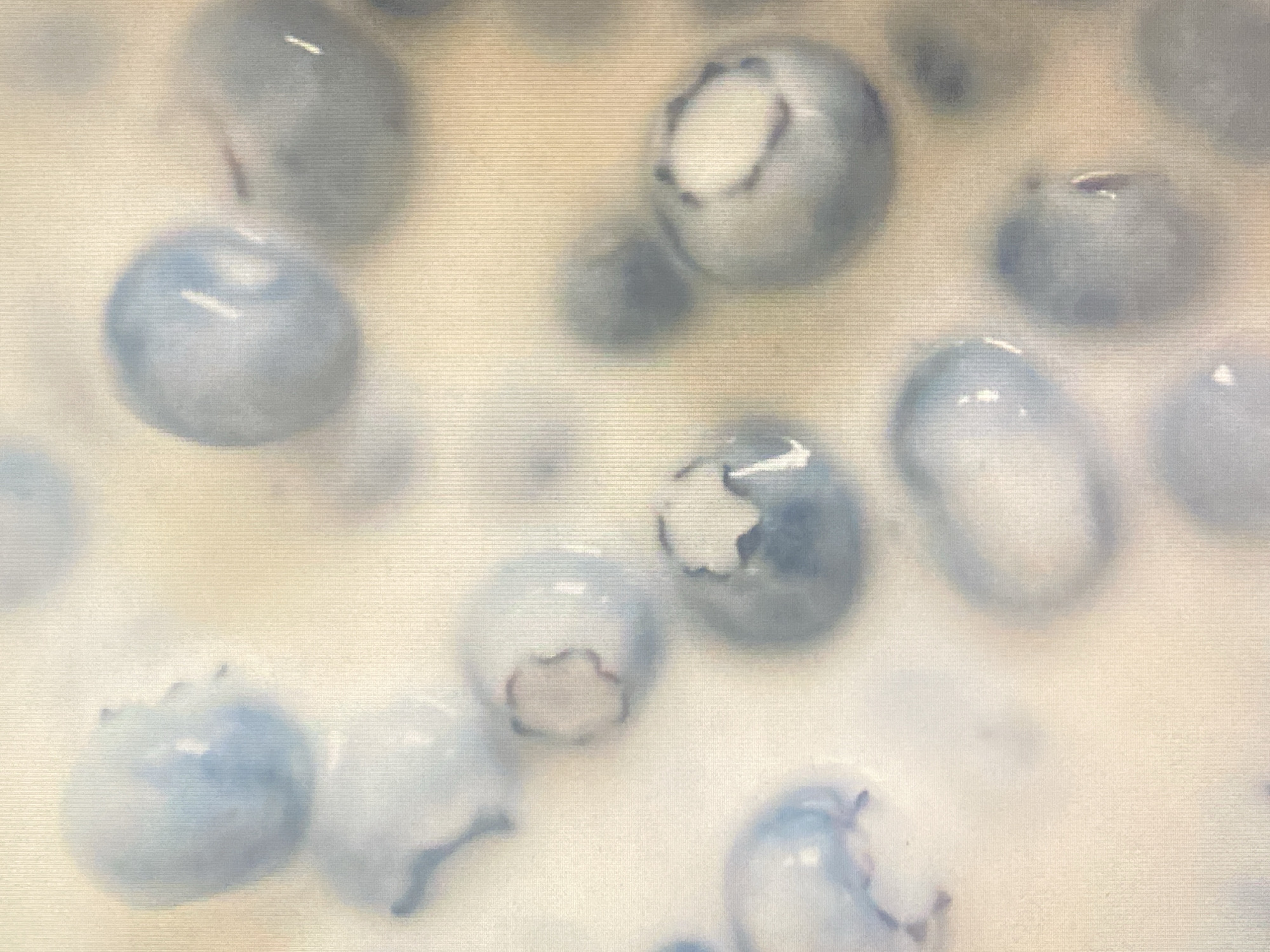 The image is a close-up, overhead view of several blueberries suspended in a white, creamy substance, likely yogurt or a similar dairy product. The blueberries are various shades of blue and appear to be whole, with some showing the characteristic indented top where the stem was attached. The lighting is soft, creating gentle highlights and shadows on the surface of the blueberries and the surrounding cream. The overall impression is one of a simple, food-related scene. There is no information in the image to suggest a location in Rybnitsa, Moldova.