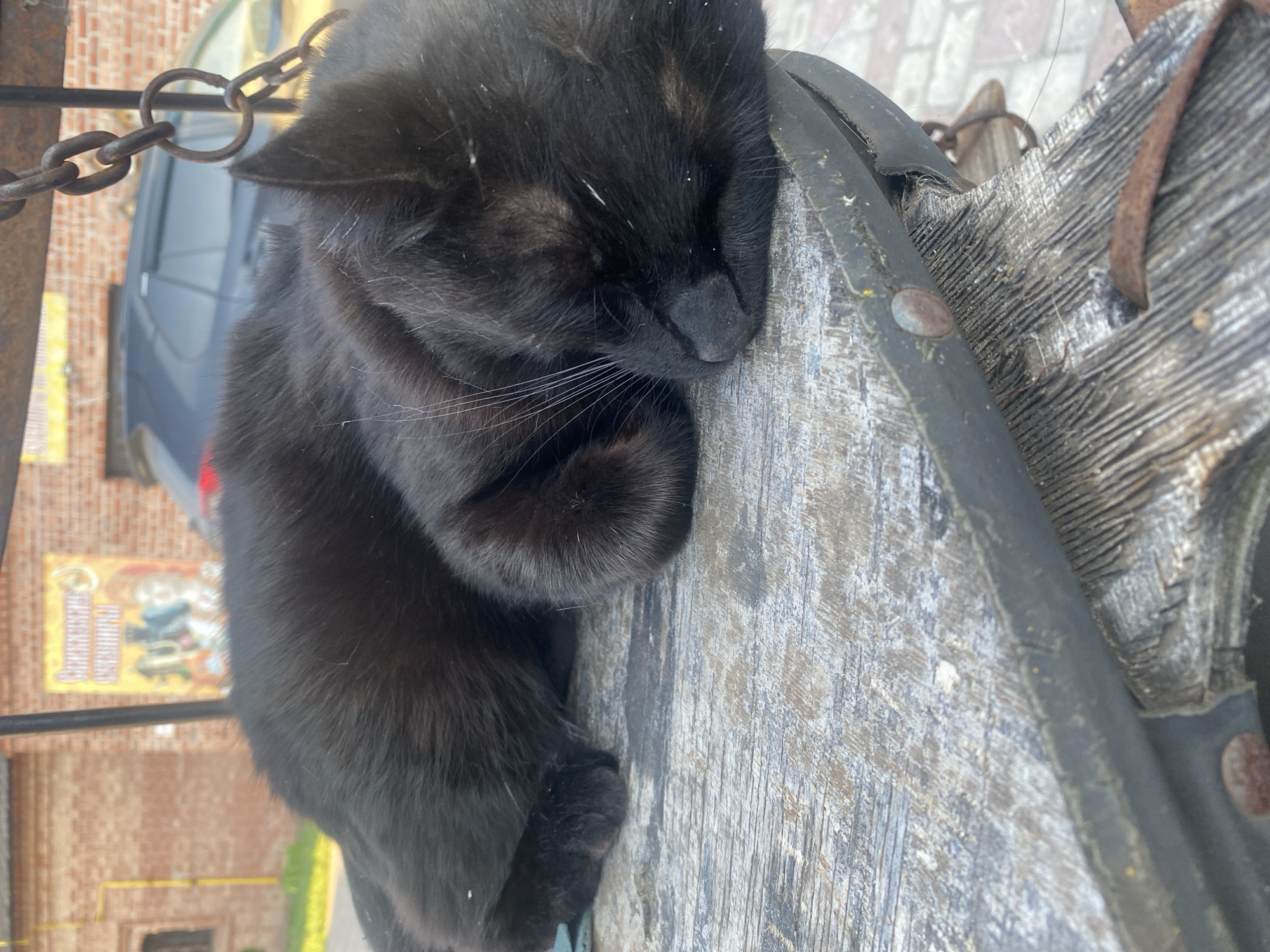 A black cat sleeps on a weathered wooden structure. The structure appears to be part of an old cart or carriage, featuring metal bands and rivets. A metal chain is visible in the upper left corner. In the background, a vehicle and brick buildings can be seen. The location is Sviyazhsk, Russia.