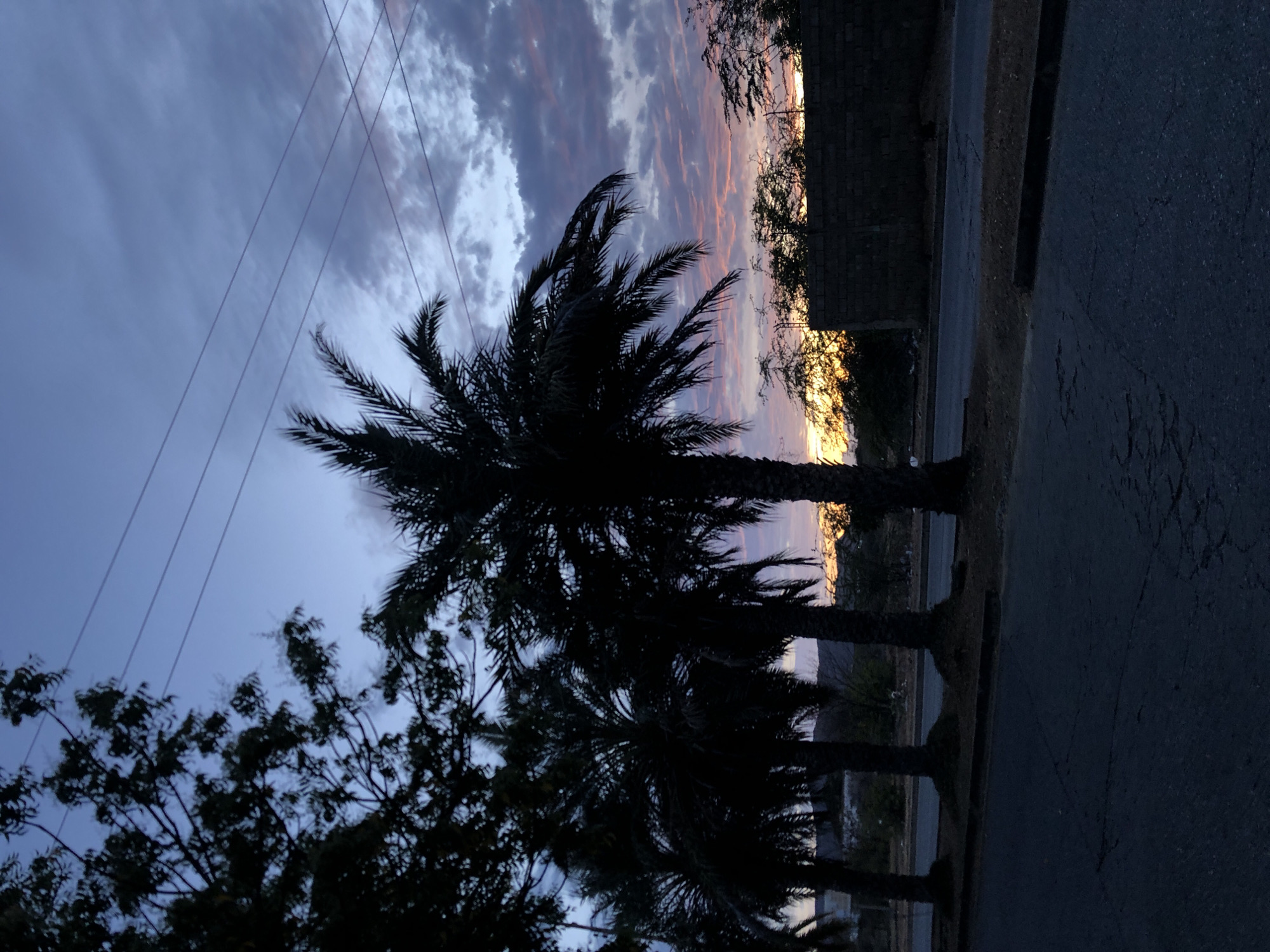 The image captures a view at dusk or dawn, featuring silhouettes of palm trees against a sky displaying a mix of dark blue and orange hues. A street runs along the right side of the frame. The trees on the side of the road appear to be located in the city of Juan Griego, Venezuela. Power lines are visible stretching across the sky.