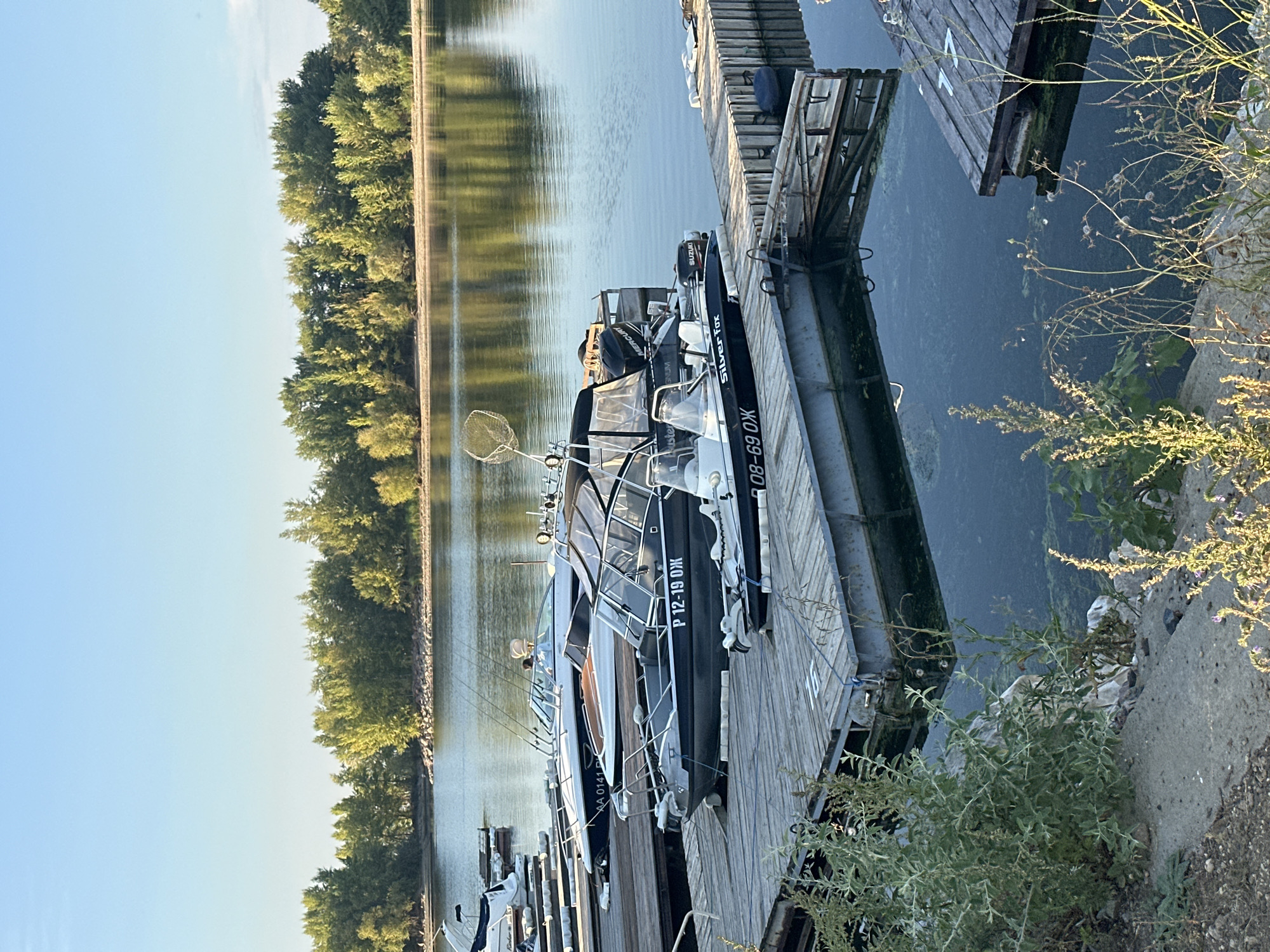 In Energetik, Russia, a marina scene unfolds under a clear blue sky. Several motorboats are docked side-by-side on wooden piers. The boats vary in size and color, with prominent markings like "P 12-19 OX" and "08-69 OX" visible on their hulls. One boat, labeled "Silver Fox," has a fishing net attached to its stern. The water is calm, reflecting the lush green trees that line the opposite bank of the river. The foreground features coarse sand, rocks, and wild vegetation. The overall impression is one of a serene, late afternoon setting in a recreational area.