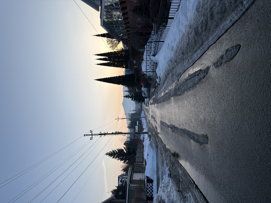 The image depicts a residential street in Zelenaya Polyana, Russia, during what appears to be either sunrise or sunset, characterized by a clear sky transitioning from light blue overhead to hues of orange and yellow at the horizon. The asphalt road, wet and partially covered with slush and melted ice, shows two distinct parallel paths of clearer asphalt, suggesting recent vehicle traffic. Snowdrifts and slush piles line both sides of the road.
On the left side, a short, dark fence precedes a house with a dark roof and a light-colored garage door. Several coniferous trees, including a prominent dark green one, are visible. Multiple utility poles, featuring horizontal crossbars and numerous overhead electrical wires, run along this side of the street, receding into the distance.
On the right side, an ornate black wrought-iron fence runs parallel to the road, backed by a red brick wall. Behind this wall and fence, a cluster of tall, slender, dark coniferous trees (likely cypress or similar species) stands prominently, silhouetted against the horizon. A modern house with reflective windows is partially visible behind these trees and the wall.
In the far background, snow-covered mountains or hills are visible, silhouetted against the pale sky. No individuals, animals, or active vehicles are present in the scene. The lighting suggests a low sun, casting reflections on the wet road surface.
