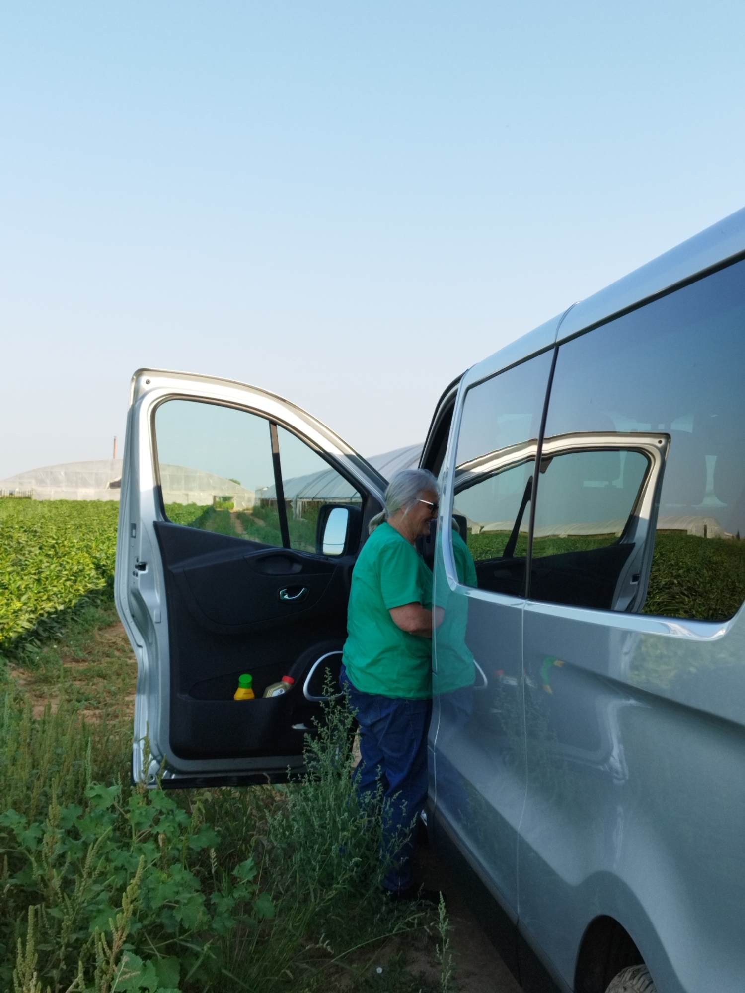 In Băleni-Sârbi, Romania, an elderly woman with gray hair and glasses, wearing a green t-shirt and blue pants, is partially visible standing beside an open silver van. She appears to be interacting with something inside the van, possibly retrieving items from the door pocket which contains two bottles. The van is parked on a dirt path, surrounded by tall green grass and vegetation. In the background, a field of green crops is visible, with several greenhouses in the distance. The sky is clear and bright blue.