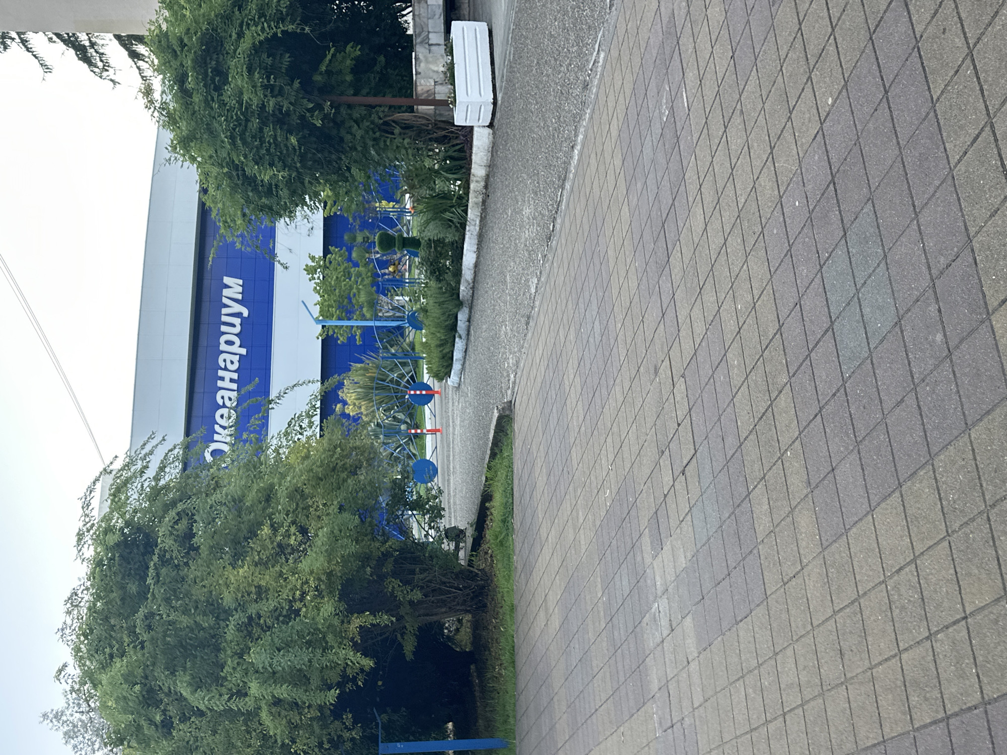 The image shows the entrance to an aquarium, identified by the Russian word "Океанариум" (Oceanarium) in large blue letters on a white facade. The building appears to be modern, with a light blue stripe running along its top. In front of the building, there is a paved walkway made of square grey and brown tiles. To the left, a large, lush green tree partially obscures the building. To the right, a path leads towards the entrance, bordered by a garden bed with various plants and a white rectangular planter. In the background, there are decorative fences and orange traffic cones, suggesting some form of pedestrian management or event setup. The overall scene depicts an outdoor area in front of a public attraction, likely a leisure or entertainment venue in Sochi, Russia.