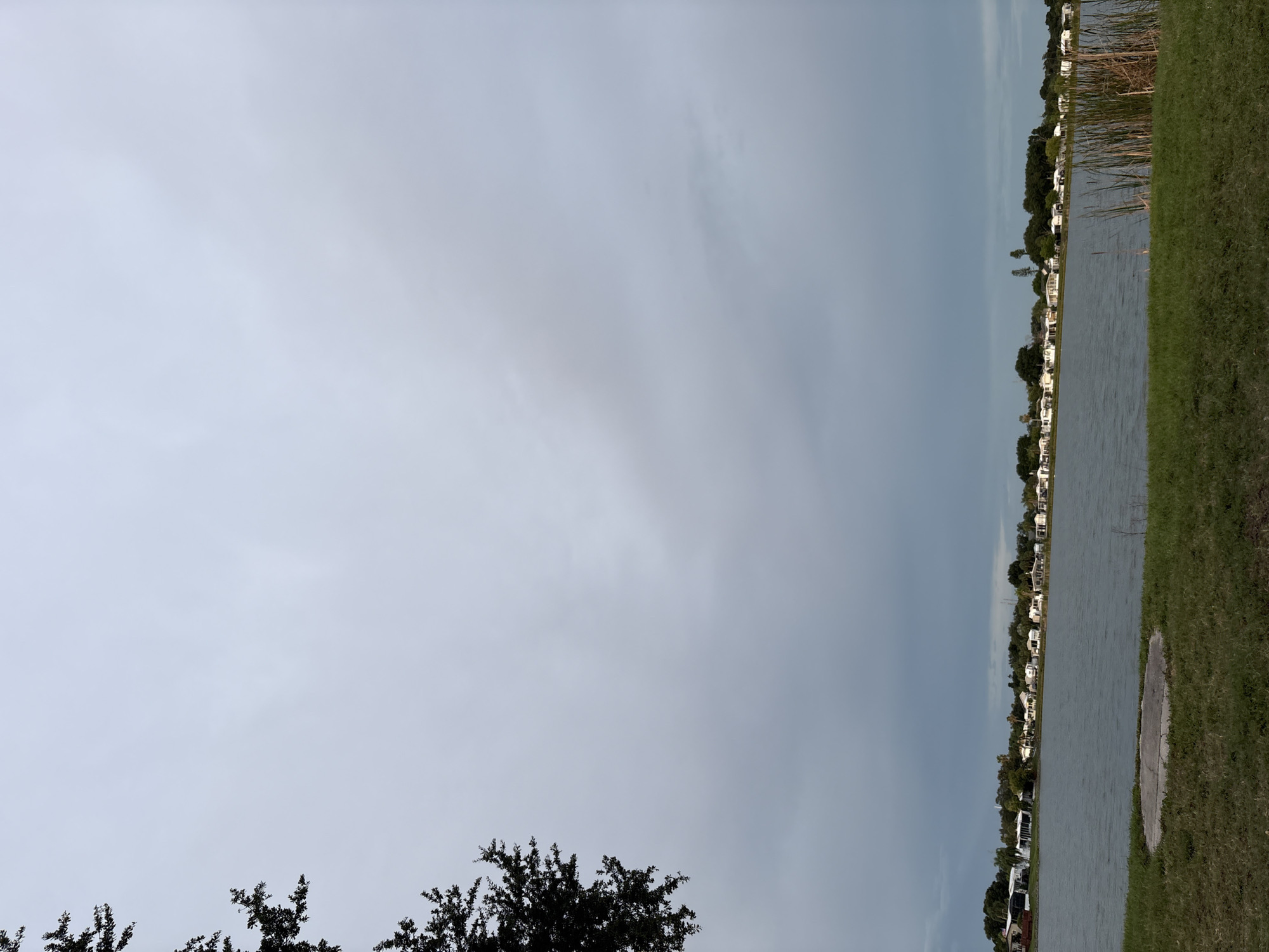 A wide-angle, eye-level shot captures a tranquil lake scene in the city of Bradenton, United States. The foreground features a strip of green grass, a circular concrete structure, and tall reeds. Beyond the grass, a calm, grey lake stretches horizontally across the frame. In the background, a line of white houses with dark roofs is visible, interspersed with trees. The sky is overcast with a muted grey hue, and on the far left, the dark silhouette of tree branches extends into the frame from the top. The overall ambiance is serene and slightly overcast.