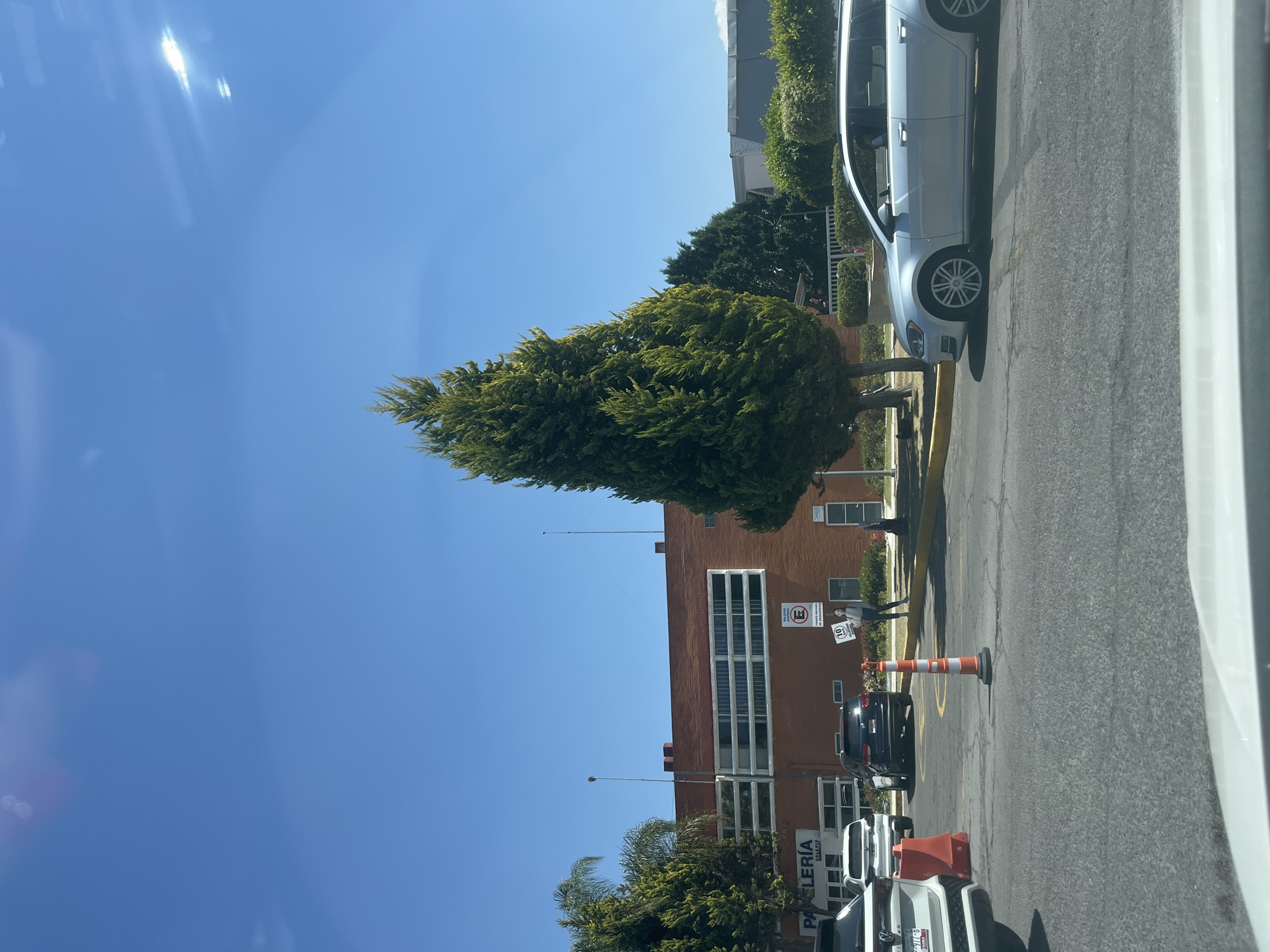 The image depicts an outdoor scene during daylight under a clear blue sky with visible solar lens flares. The perspective is from inside a vehicle, evidenced by a portion of a white dashboard at the bottom.
The location is identified as Colegio Espíritu Santo in Puebla, Mexico, indicated by a prominent sign on the main building.
In the immediate foreground, a cracked asphalt road surface features faded yellow markings. A single orange and white striped traffic cone with a black base stands centrally. To the left, a bright orange traffic barrier is partially visible.
The midground includes several vehicles. On the left, the rear of a white SUV is partially obscured by the orange barrier. Behind it, another white vehicle is visible. To the right of the cone, a dark blue SUV is parked. On the far right, a silver Volkswagen Golf station wagon is positioned, with a driver visible inside. A tall, dense evergreen tree stands prominently in the center, flanked by smaller green trees and shrubs.
The background is dominated by a two-story red-brick building with numerous horizontal, white-framed windows on the upper level. A sign on the left side of the building reads "PAPELERÍA COLEGIO ESPÍRITU SANTO." Closer to the center, a white sign with a red circle and diagonal line (no parking symbol) states "BAJADA EXPRESS" (Express Drop-off) and "TIEMPO MÁXIMO 30 SEGUNDOS" (Maximum Time 30 Seconds). A person, appearing to be an adult female, stands near this sign, holding a white rectangular sign with the number "10" inscribed within a circle. Two slender antennas extend from the roof of the red-brick building. To the far right, beyond the large tree, another building structure with a lighter grey roof is visible.