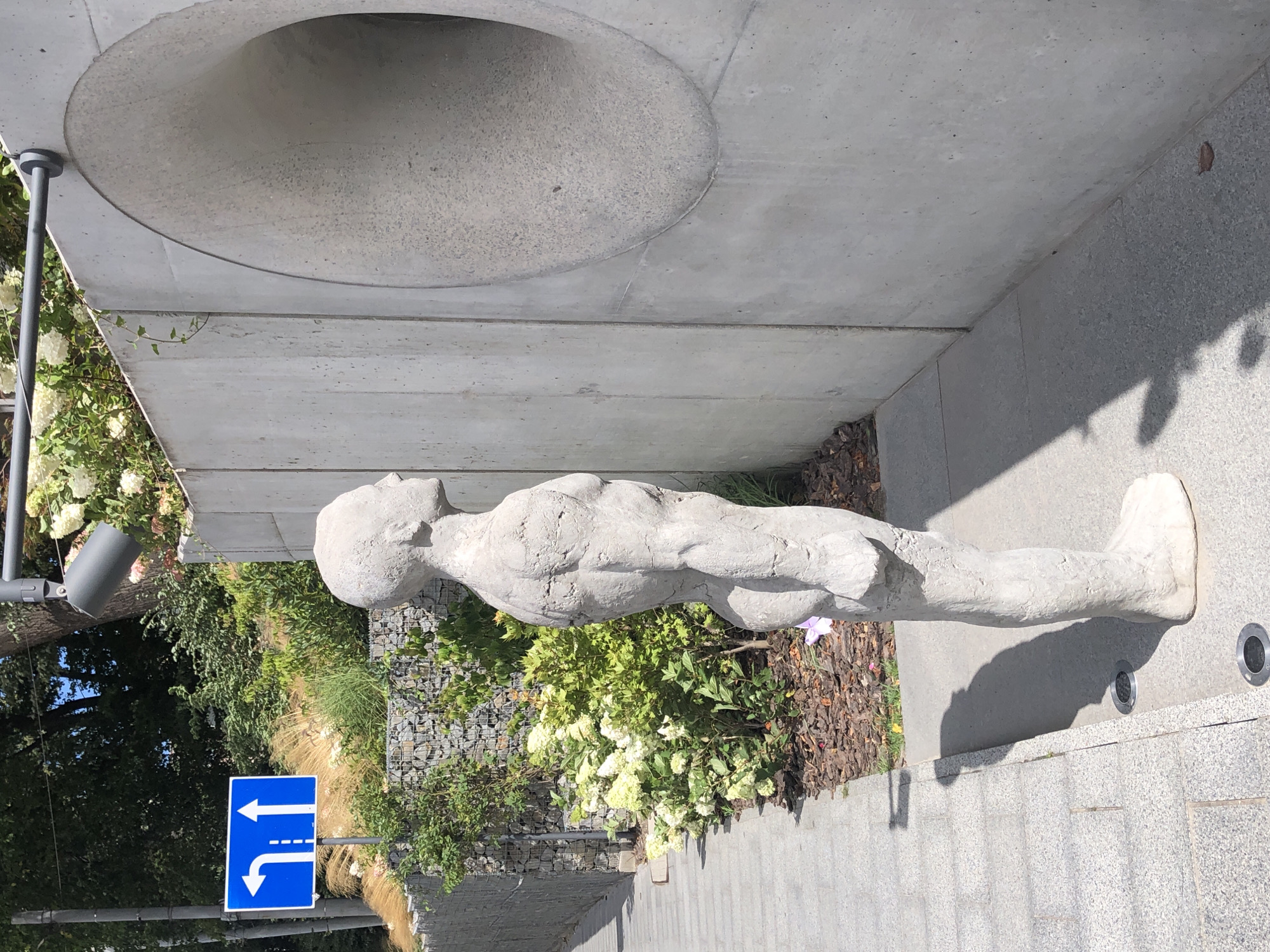 The image depicts an outdoor scene in Lviv, Ukraine, featuring a concrete sculpture of a human figure standing next to a textured concrete wall with a large circular opening. The sculpture, a light gray, is positioned in profile, facing towards the opening. The figure is anatomically detailed and stands on a paved walkway. Behind the sculpture, a gabion wall filled with stones is visible, bordering lush green foliage and white flowering bushes. A blue traffic sign with white arrows indicating a left turn and a straight path is mounted on a pole to the left of the sculpture. The environment appears to be a public space, possibly a park or a modern urban development, under a clear sky with shadows cast on the ground, indicating daylight.