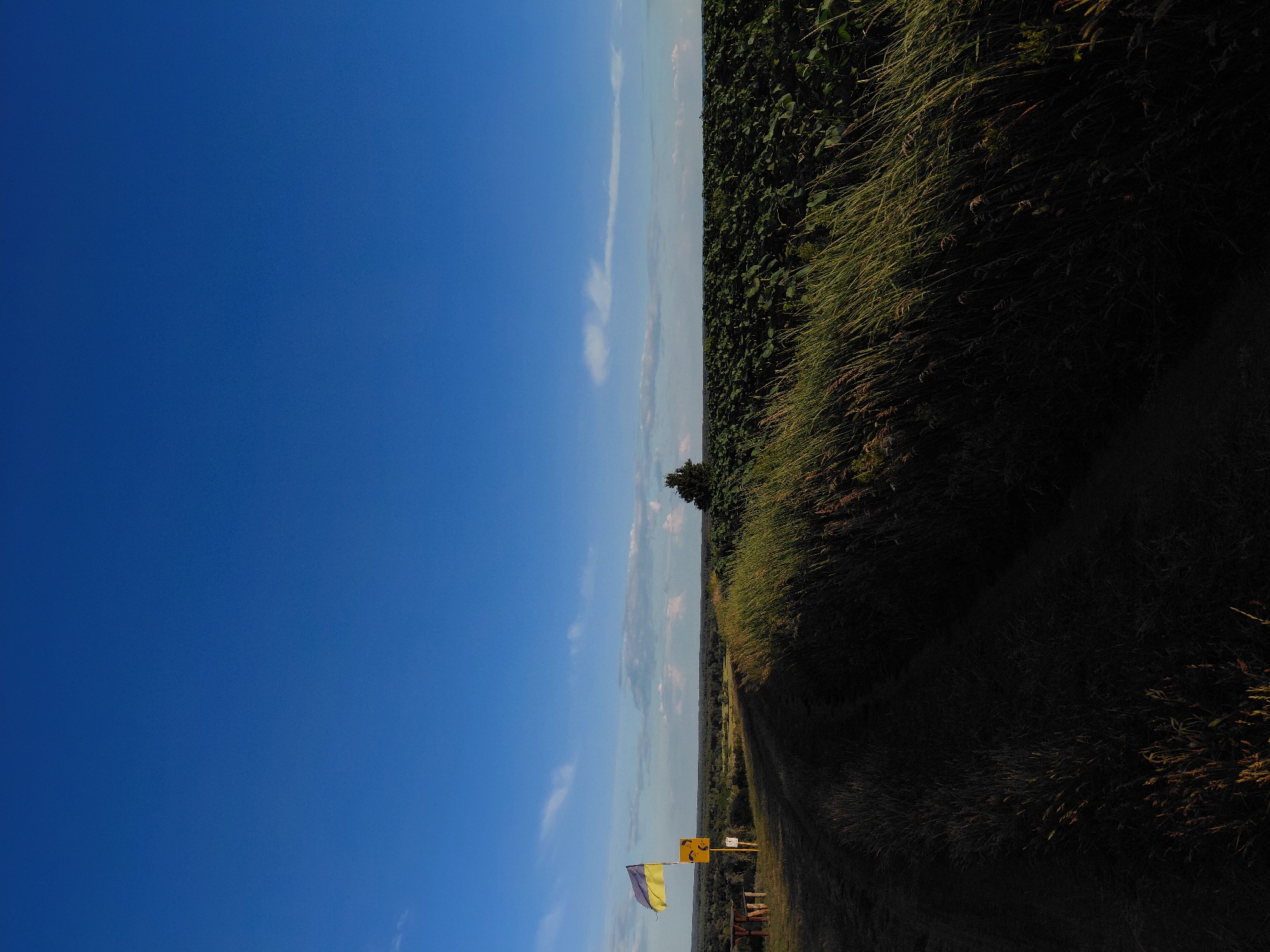 The image depicts an outdoor scene with a vast expanse of clear blue sky dominating the upper half. In the distance, a flat horizon is visible, separating the sky from a landscape composed of vegetation. A field of dark green crops, possibly sunflowers, stretches across the right side of the frame. To the left of the crop field, a dirt path leads into the foreground, bordered by tall, dry grass. The path is cast in shadow, contrasting with the sunlit grass. Near the path, to the left, is a small wooden table and bench. Further left and slightly behind the table is a yellow sign with some symbols, and a Ukrainian flag is flying from a flagpole. A solitary tree stands on the horizon in the middle of the frame. The overall impression is one of a rural, open landscape under a bright sky.