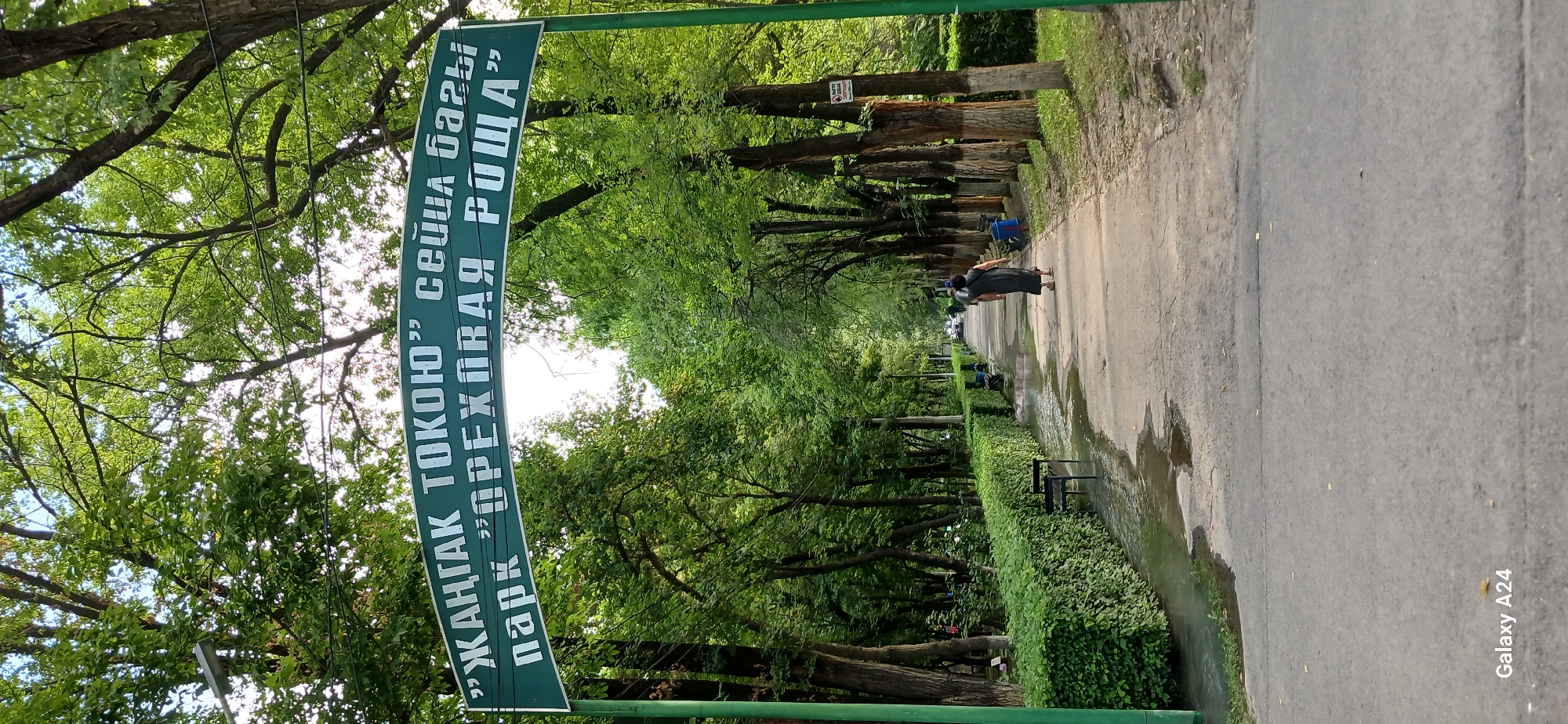 The image shows an arched entrance to a park in Bishkek City, Kyrgyzstan. The arch is green and has white lettering in two lines. The top line reads "ЖАНГАК ТОКОЮ" and the bottom line reads "парк ОРЕХОВАЯ РОЩА". This translates to "Walnut Grove Park". The park is lined with trees and has a paved path leading into it. There are manicured hedges and benches along the path. A woman in a dark dress is walking away from the camera down the path, and another person is visible further down the path. There are some puddles on the path, suggesting recent rain. The overall impression is of a well-maintained urban park.