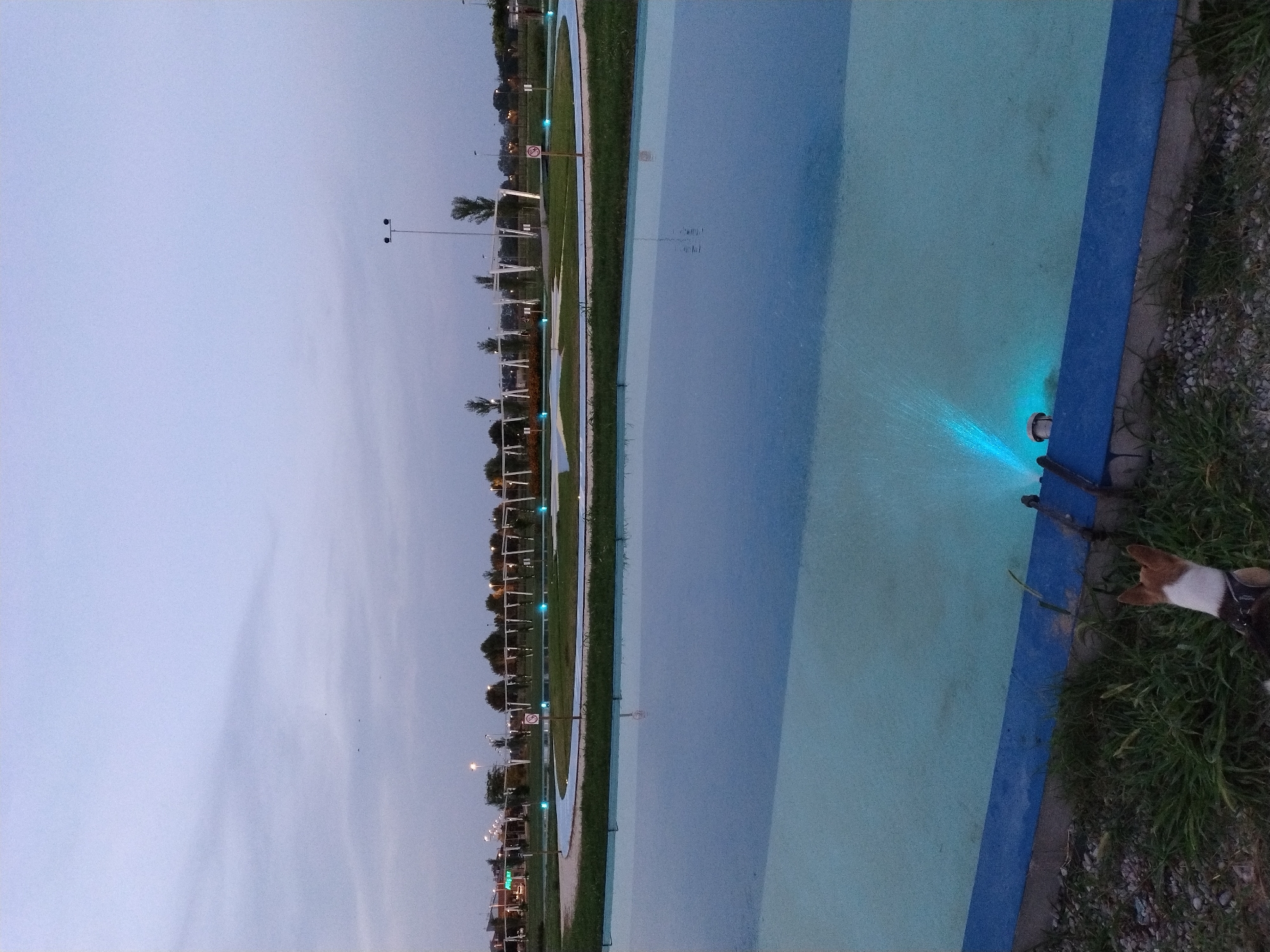 This image depicts an outdoor scene at dusk, likely within the city of Caorle, Italy. In the foreground, a small dog with brown and white markings is visible, facing away from the camera towards a large, shallow body of water. The water is a light blue color and is illuminated by a bright blue light source positioned at the edge of the water, creating a spray of illuminated water.
The water's edge is bordered by a bright blue band, and beyond that, there is a strip of gravel and green grass. In the mid-ground, a paved pathway, possibly a walking or biking path, curves through a grassy area. This pathway is lined with blue lights, and in the background, there are rows of trees and modern white structures that appear to be part of a park or recreational area. Streetlights are visible in the distance, casting a warm glow. The sky is a pale, cloudy blue, typical of twilight. The overall impression is a serene, modern public space.