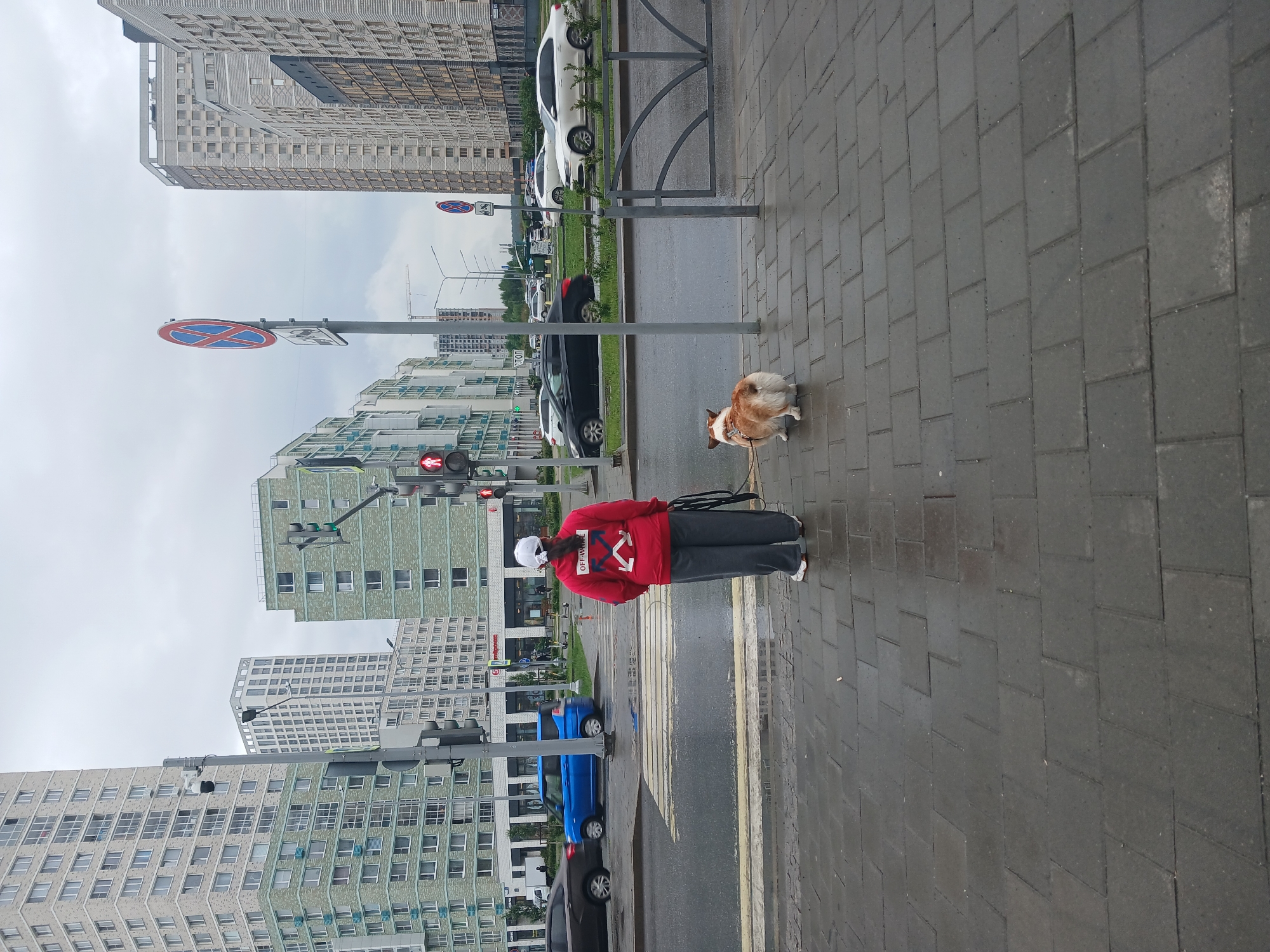 A person wearing a red hoodie, gray pants, and a white cap is standing on a wet sidewalk next to a corgi on a leash. They are facing away from the camera, looking at a crosswalk and traffic lights. Several modern, multi-story buildings are visible in the background, along with cars on a wet street. The sky is overcast. The image was taken in the city of Yekaterinburg, Russia, specifically on Belinsky Street, near the intersection with Radishchev Street.