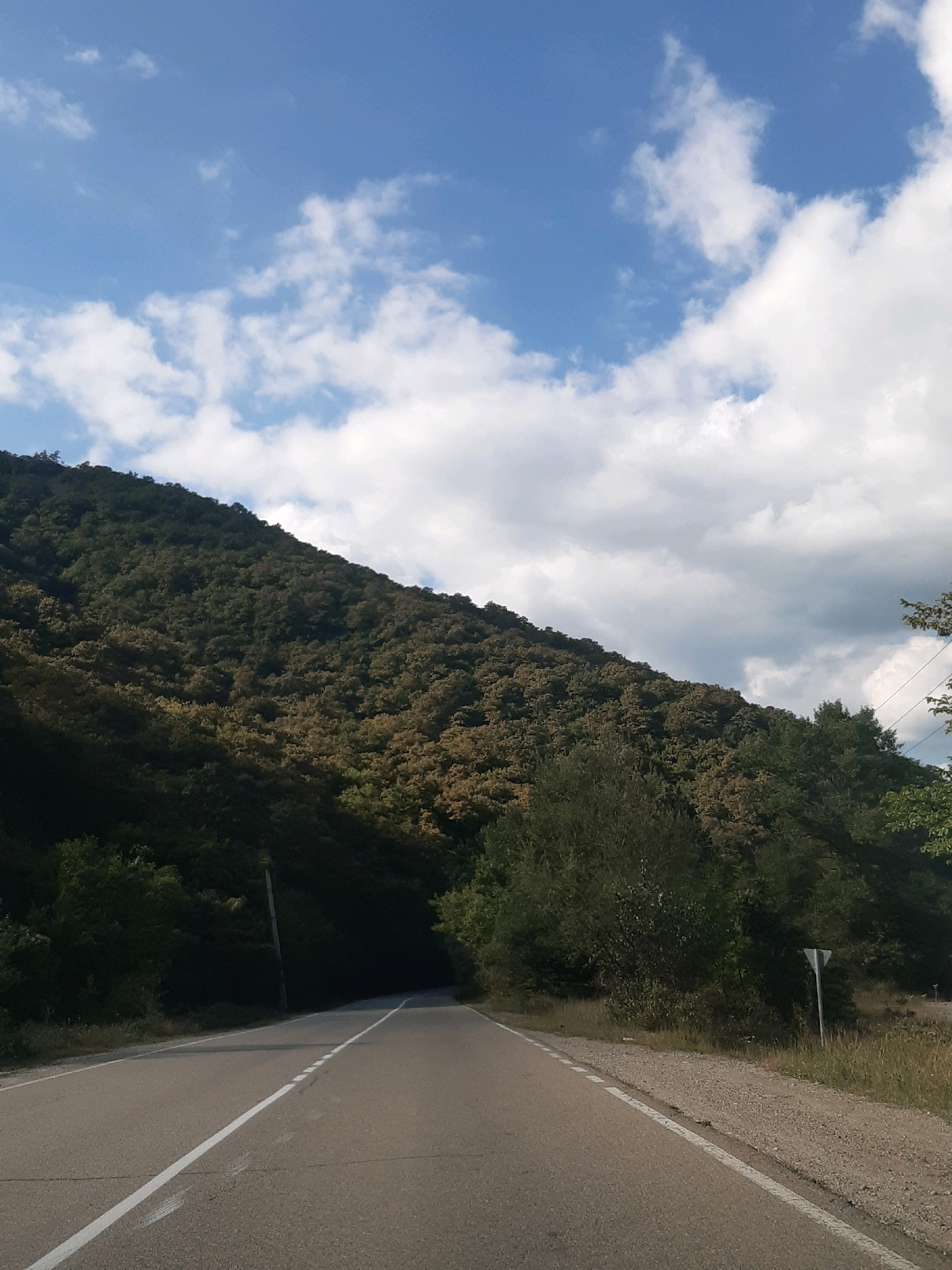 A vertical, eye-level, medium shot captures an empty, two-lane asphalt road winding through a natural landscape. The road is marked with a solid white line on the left and a dashed white line on the right. To the left, a steep, densely forested hillside rises, its trees appearing dark green and some with a lighter, yellowish hue, possibly indicating autumn foliage or seasonal change. The hillside stretches diagonally across the frame, from the lower left to the upper right. Above the hillside, a bright blue sky is visible, punctuated by scattered white, fluffy clouds. On the right side of the road, the terrain is less steep and covered with dry grass and some scattered bushes. A thin, dark-colored power line pole stands on the left side of the road, partially obscured by trees. A small, grey, triangular signpost with a white border is visible on the right side of the road. The overall scene depicts a serene, rural road cutting through a mountainous, wooded area.