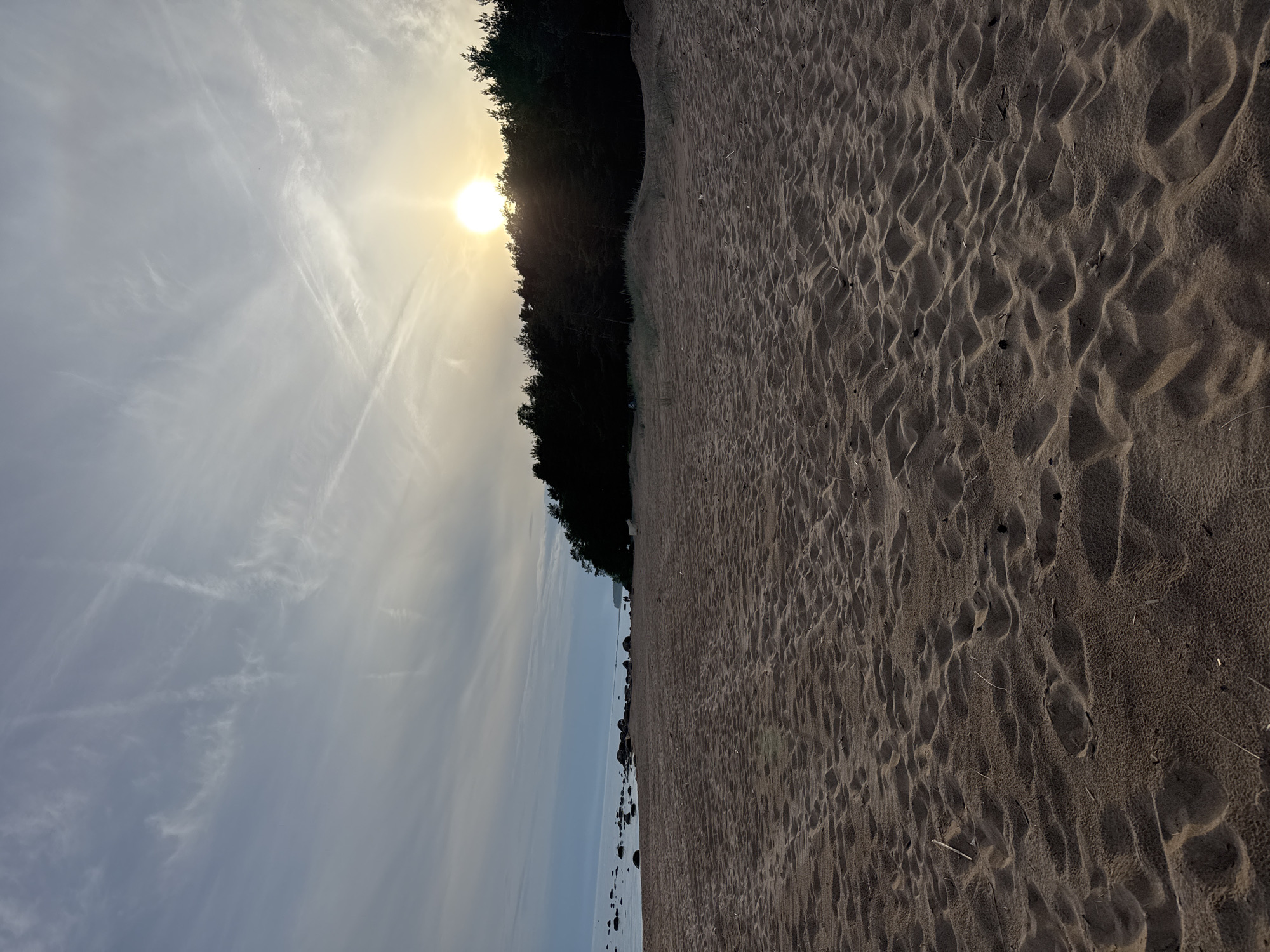 The image captures a wide sandy beach scene, purportedly in Zelenaya Roshcha, Russia, during either sunrise or sunset. The sky, occupying the upper half of the frame, displays a gradient from pale grey-blue on the left to bright yellow-white on the right, where a brilliant, low-hanging sun is visible as an intense, glowing orb, partially obscured by the tree line and creating a strong lens flare effect. Streaks of thin, white cirrus clouds and faint contrails are present across the sky.
A dense, dark silhouette of a coniferous forest, likely pine trees, forms a distinct horizon line across the upper-right portion of the image, bordering the beach. At the base of the forest, subtle sandy dunes with sparse green vegetation are visible.
The expansive foreground is dominated by reddish-brown sand, heavily textured with numerous footprints and small, irregular undulations. Minimal debris, possibly small twigs or dried vegetation, is scattered across the sand.
To the left, the sandy beach transitions into a calm body of water, appearing in muted grey-blue tones. A series of large, dark, smooth rocks are scattered along the water's edge, extending into the distance. In the far distance, near the water's edge and bordering the forest, two small, indistinct human figures are visible, walking along the shoreline. Another faint figure is discernible further left along the water. The scene is illuminated by the low sun, creating a warm, soft light.