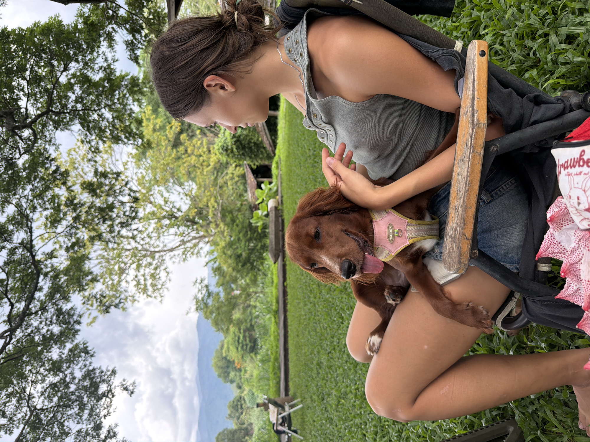 In Tambon San Phi Suea, Thailand, a woman is seated in a folding chair outdoors, holding a brown dog in her lap. The woman, facing right in profile, wears a grey tank top and denim shorts. The dog, an Irish Setter, rests its head on her lap, its tongue out. The background features a lush green lawn, trees, and distant mountains under a cloudy sky. Additional chairs and structures are visible further in the background.