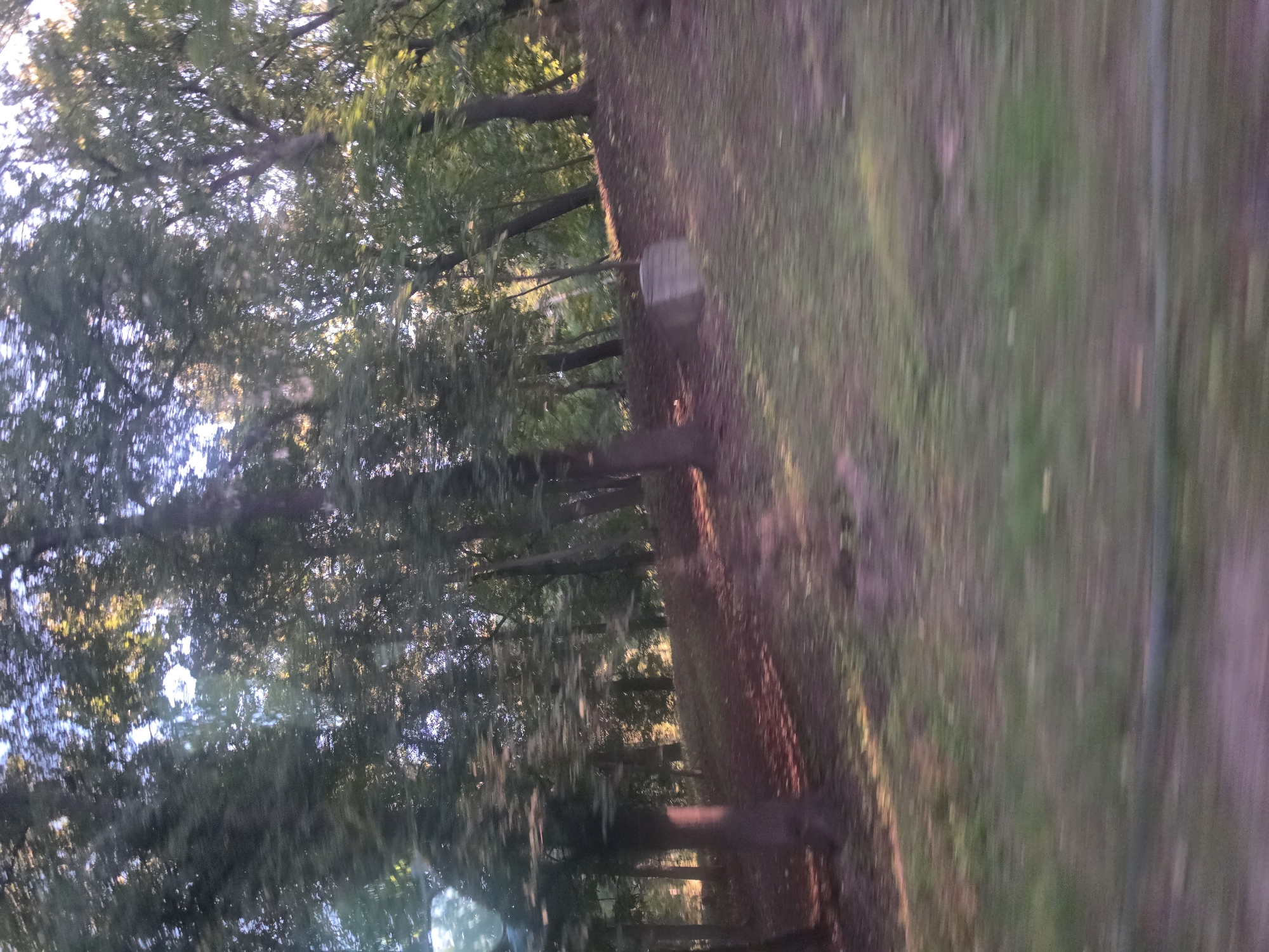 The image depicts a blurred, outdoor scene of a wooded area with a grassy slope and trees. The lighting suggests it is daytime, possibly late afternoon, with sunlight filtering through the leaves. The ground is covered with fallen leaves and patches of grass. In the middle ground, there is a small, stone structure. The image is characterized by motion blur, indicating movement during the capture. There is no identifiable location within the city of Nizhny Novgorod, Russia, or any people, actions, or interactions depicted.