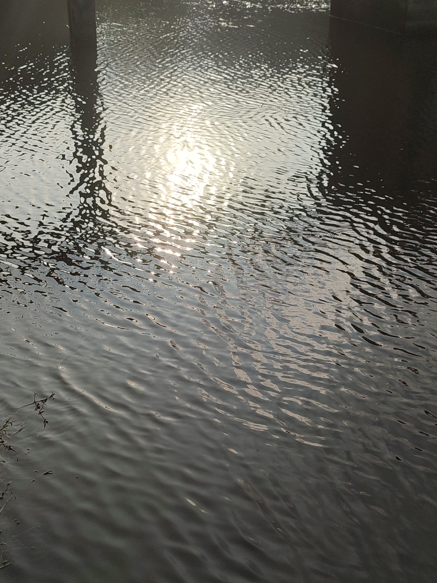 The image depicts a close-up view of rippling water, reflecting sunlight and shadows. The water appears dark and slightly murky. In the upper left quadrant, a dark, vertical object, possibly a pillar or post, casts a distorted, fragmented shadow onto the water's surface. The sunlight creates bright, shimmering reflections in the center of the image, breaking into small, irregular shapes. The rest of the water's surface is covered in gentle waves, creating a textured pattern of light and dark. In the bottom left corner, a small cluster of dry, thin vegetation is visible, partially submerged or at the water's edge. The scene conveys a sense of natural movement and the interplay of light on water. The image does not provide any specific details or context about the city of Joho, Indonesia.